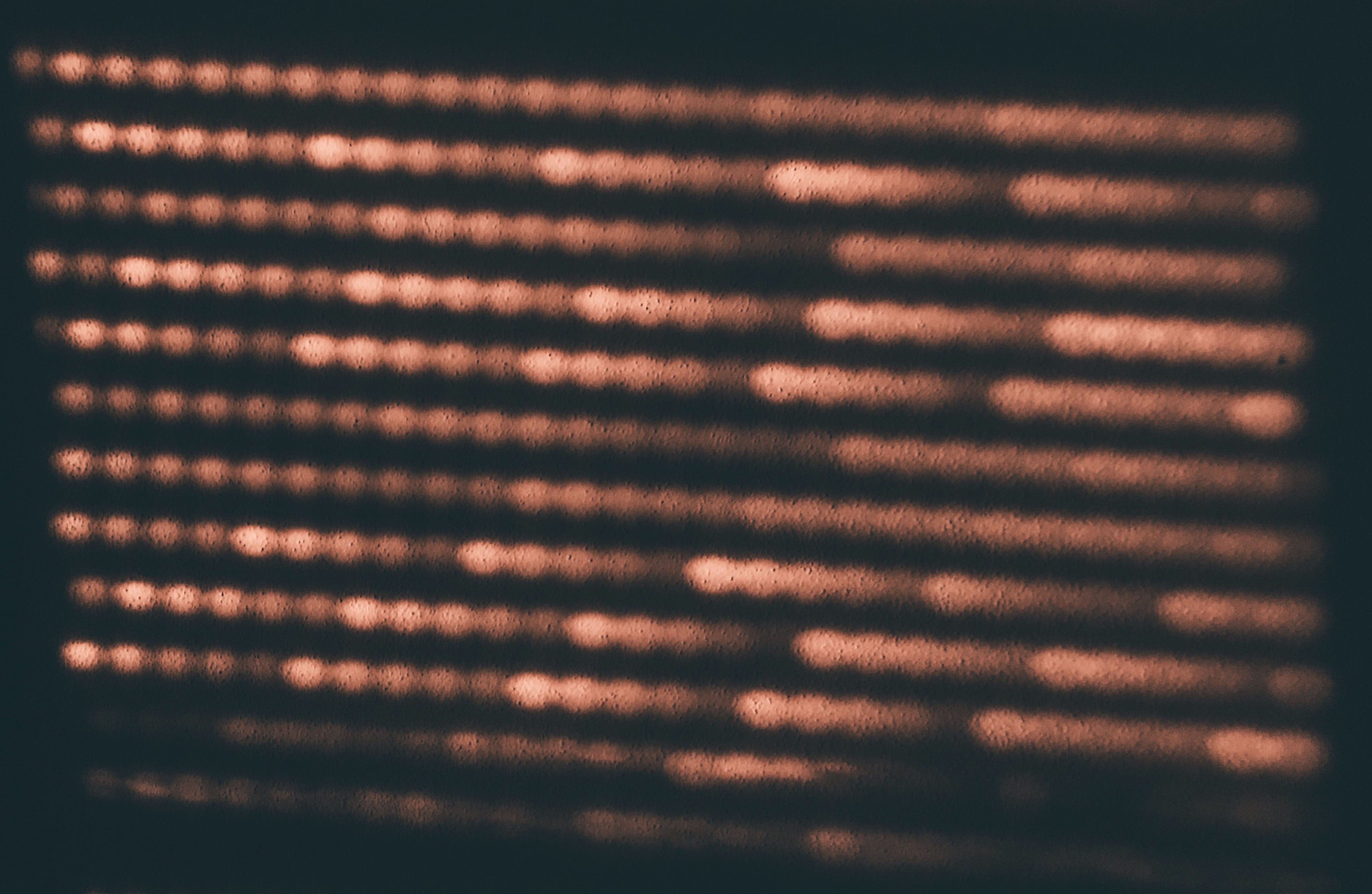 window shade, nature, night, abstract, dark, rug, stage, curtain, pattern, finch, focus on shadow, texture, textured, bird, shadow, orange color, text, HD Wallpaper