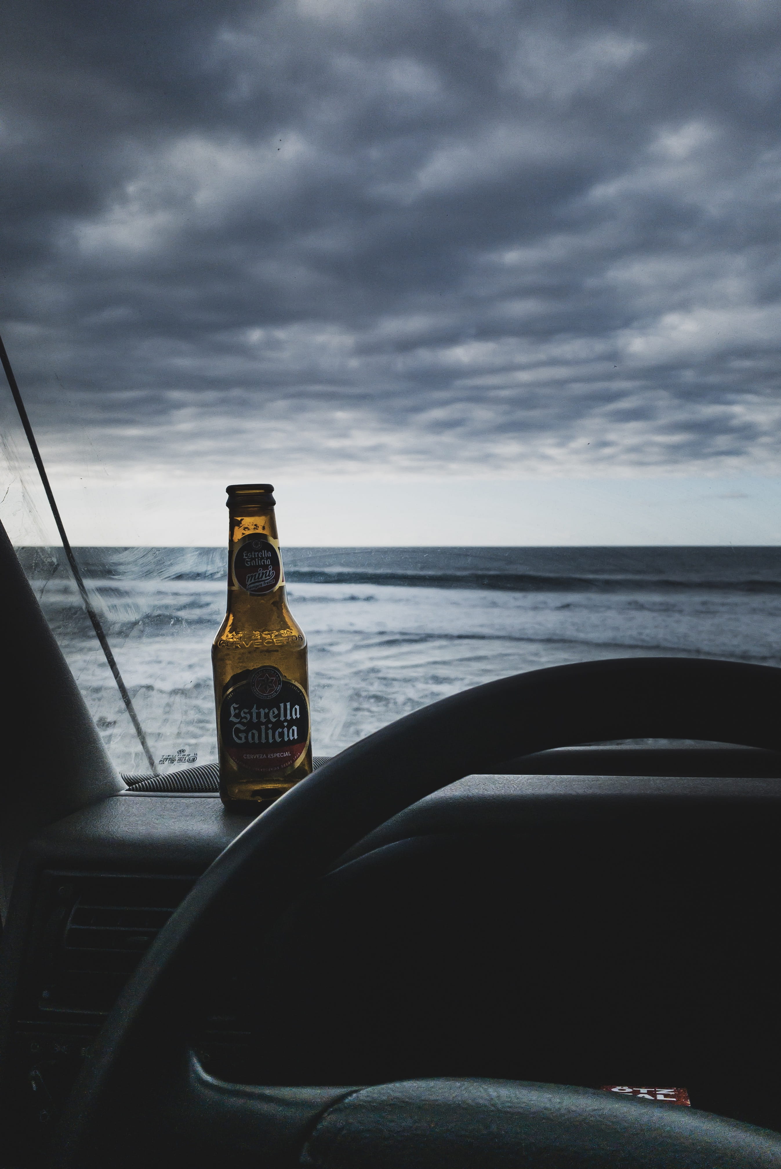 elk, tree, wildlife, beer, swimming pool, mode of transportation, no people, glass, car interior, windshield, 4K, lager, glass - material, beer bottle, Phone HD Wallpaper