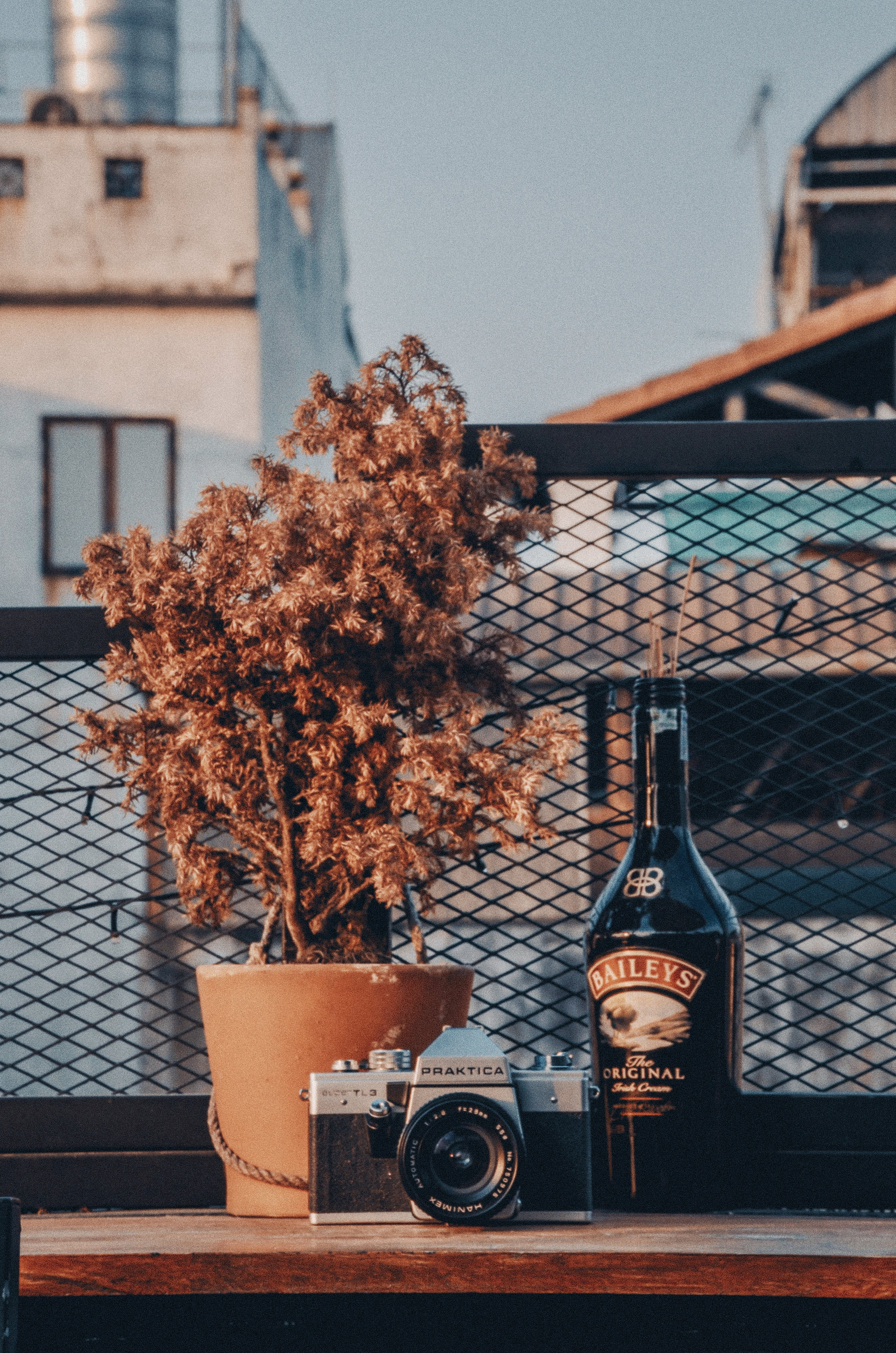 architecture, drink, wine, viet nam, flatlay, no people, technology, film, praktica, alcohol, ho chi minh, plant, table, focus on foreground, container, Phone HD Wallpaper