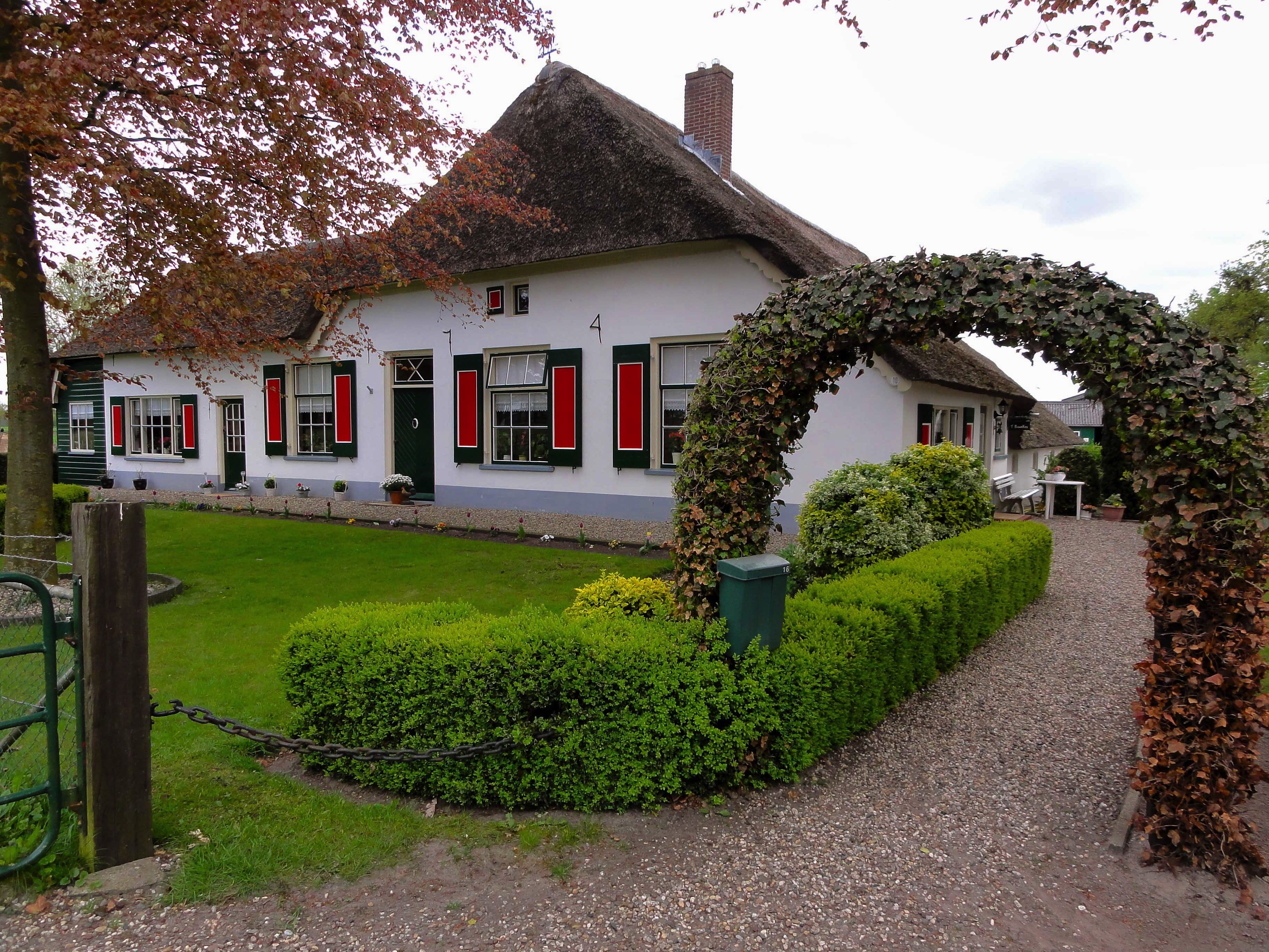 trees, green, brown, green color, garden, building exterior, sky, Netherlands, window, tree, day, white, plant, no people, architecture, trellis, residential district, HD Wallpaper