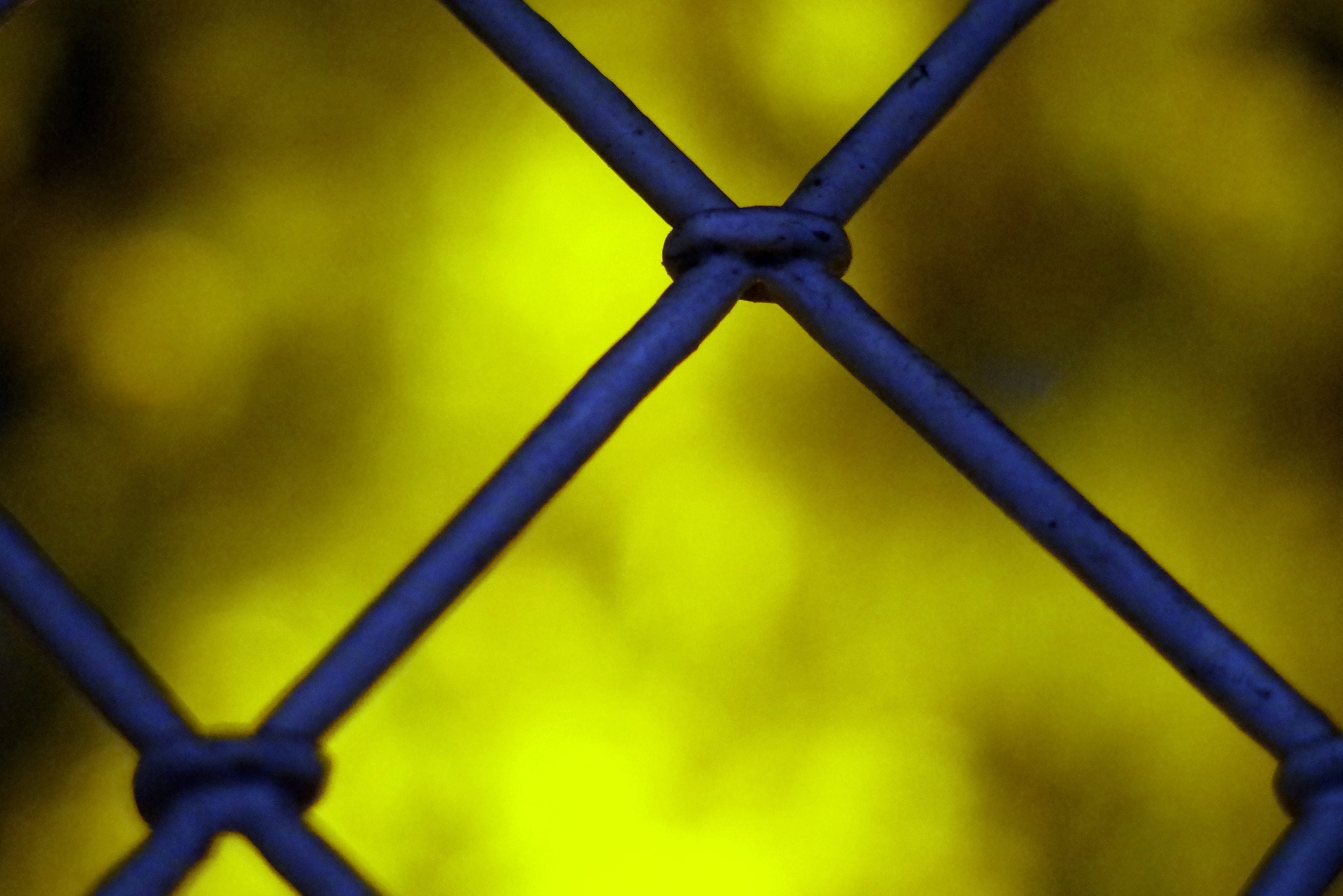 chainlink fence, view, barrier, wire, iron, shape, yellow, light, close-up, safety, metal, focus on foreground, wire mesh, sky, window, trellis, boundary, HD Wallpaper
