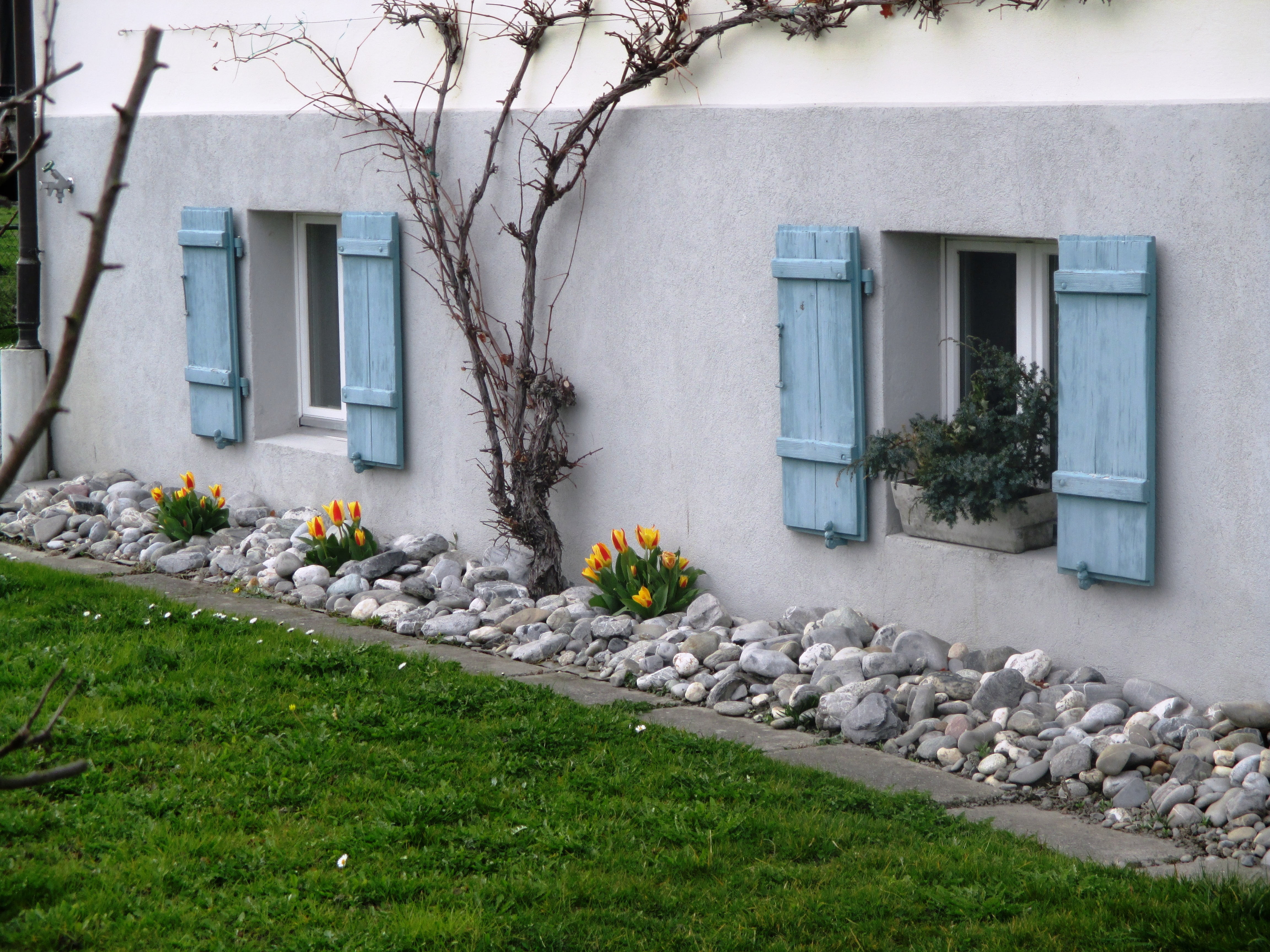 beside, wall, rush, residential district, flower, 4K, shutters, architecture, built structure, flowers, building exterior, building, stone discounts, tulips, HD Wallpaper