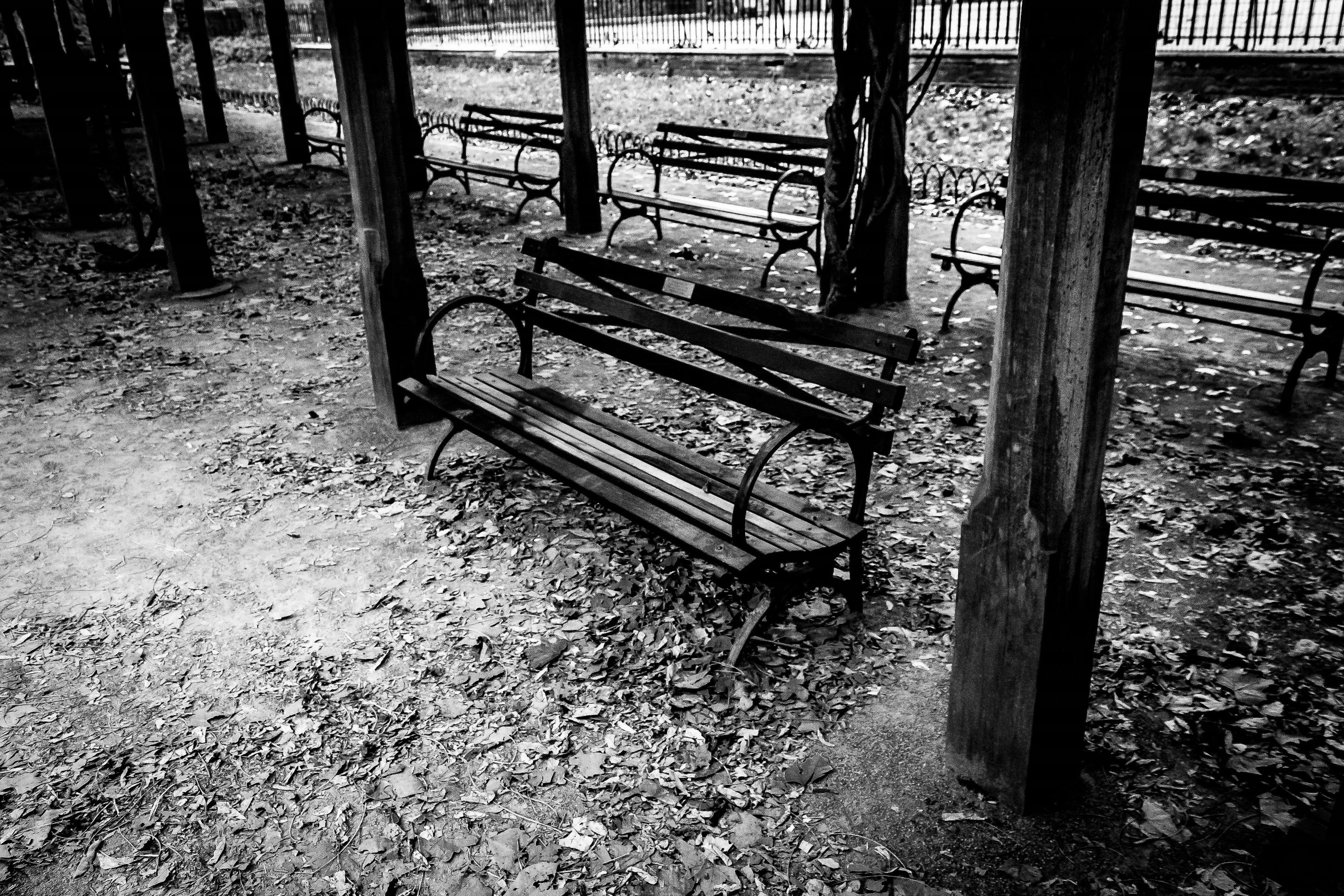 nature, 4K, absence, park - man made space, empty, bench, seat, high angle view, bw, tree, benches, park, trellis, tree trunk, no people, outdoors, day, HD Wallpaper