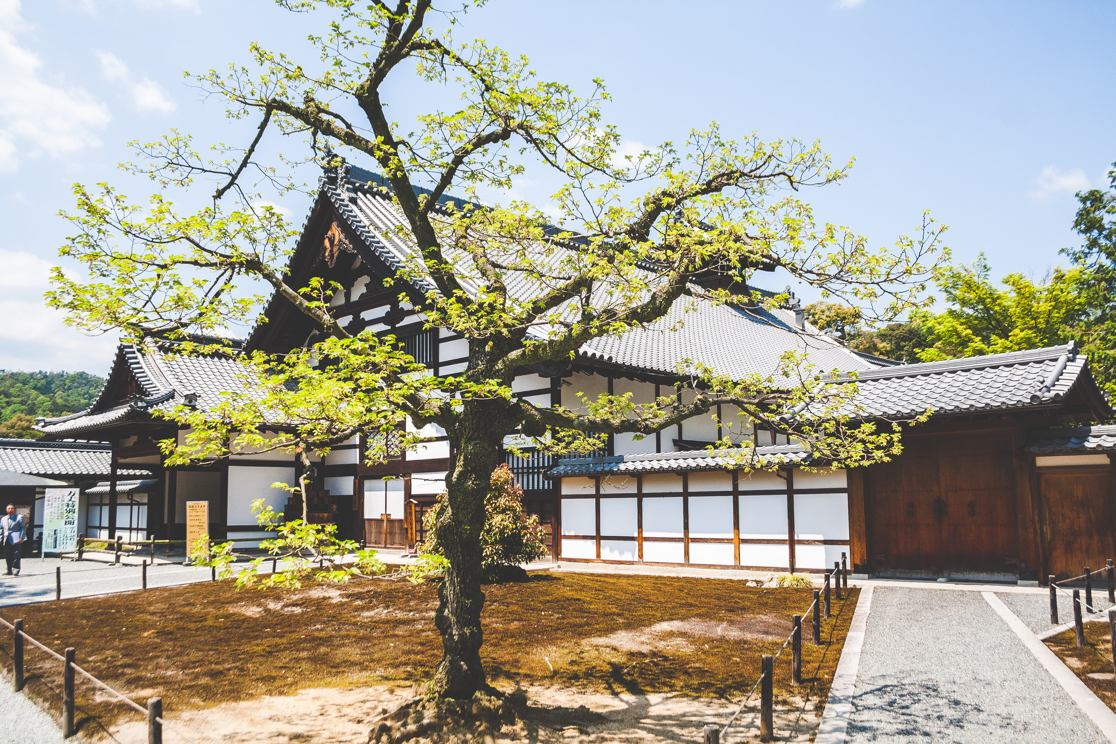 outdoors, house, plant, white, Japanese, daylight, architecture, roof, Asian, tea tree, japan, culture, trees, wooden fence, spirituality, wooden, travel, HD Wallpaper