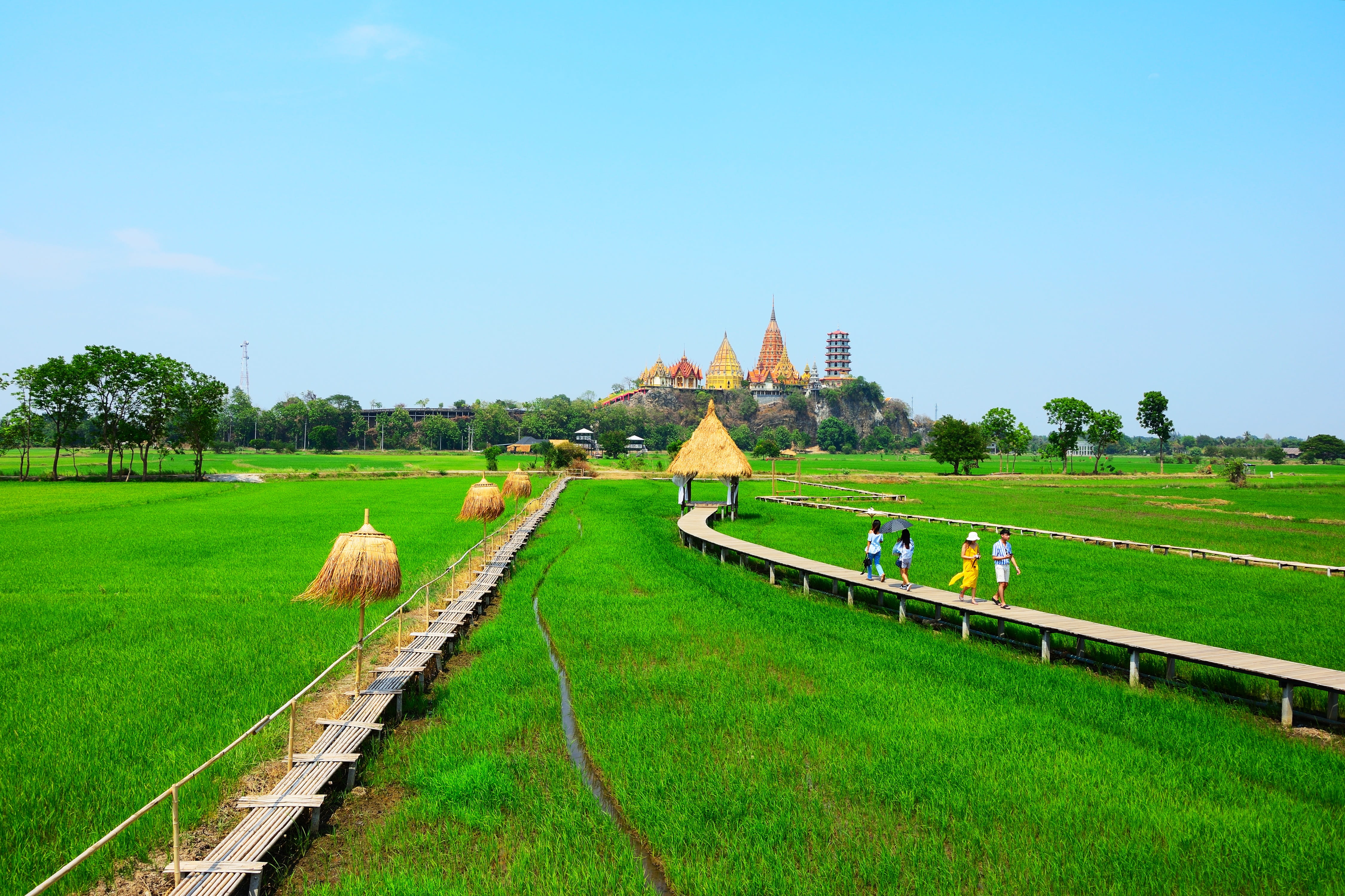 the past, beauty in nature, land, nature, environment, summer, temple, travel, architecture, no people, outdoor, built structure, growth, grass, thailand, HD Wallpaper