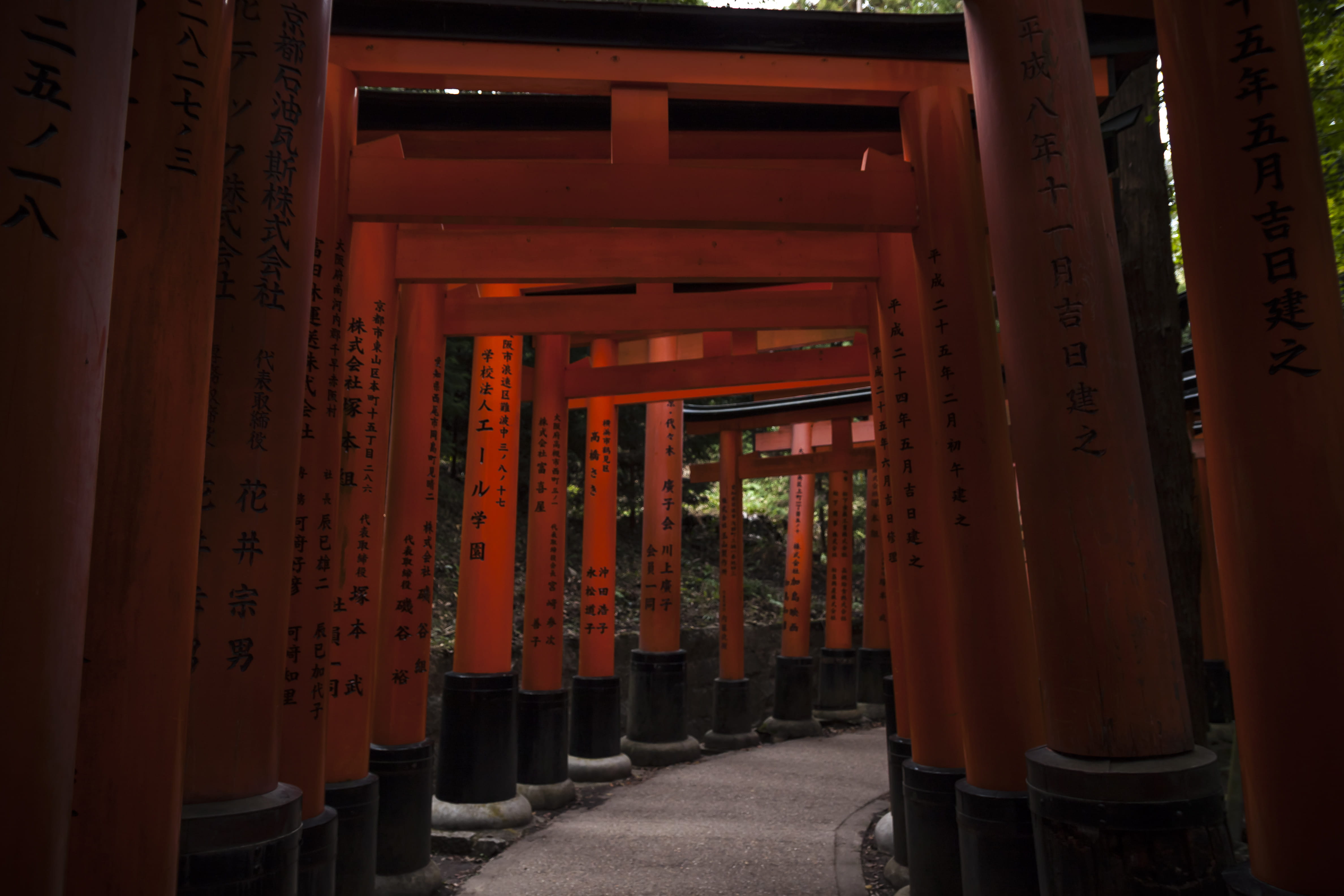 building, architecture, the way forward, staircase, bicycle, worship, gates, asphalt, communication, built structure, column, belief, non-western script, HD Wallpaper