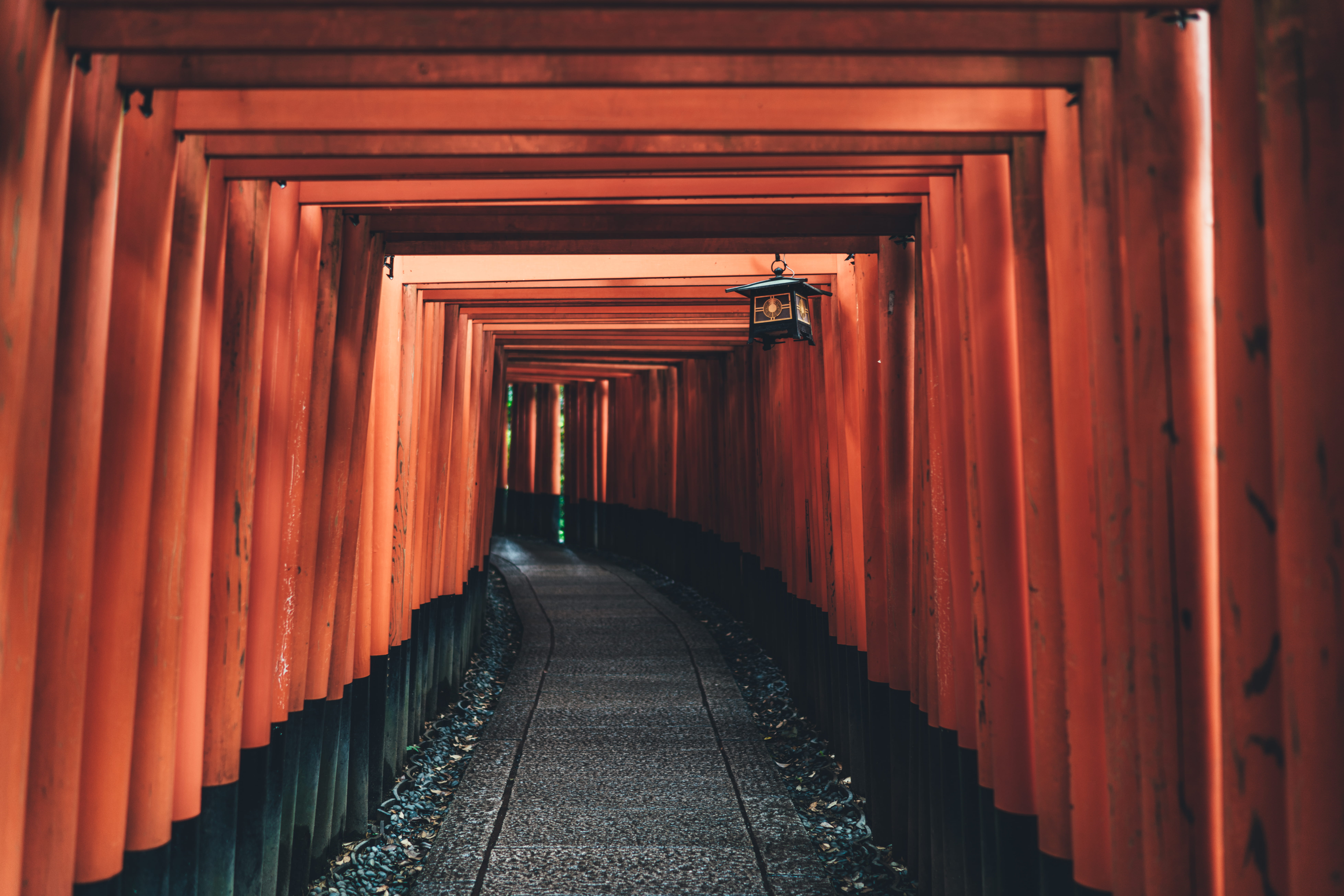 orange color, hallway, orange, walkway, lantern, temple, tunnel, gray, red, shrine walkway, diminishing perspective, architectural column, brown, place of worship, HD Wallpaper