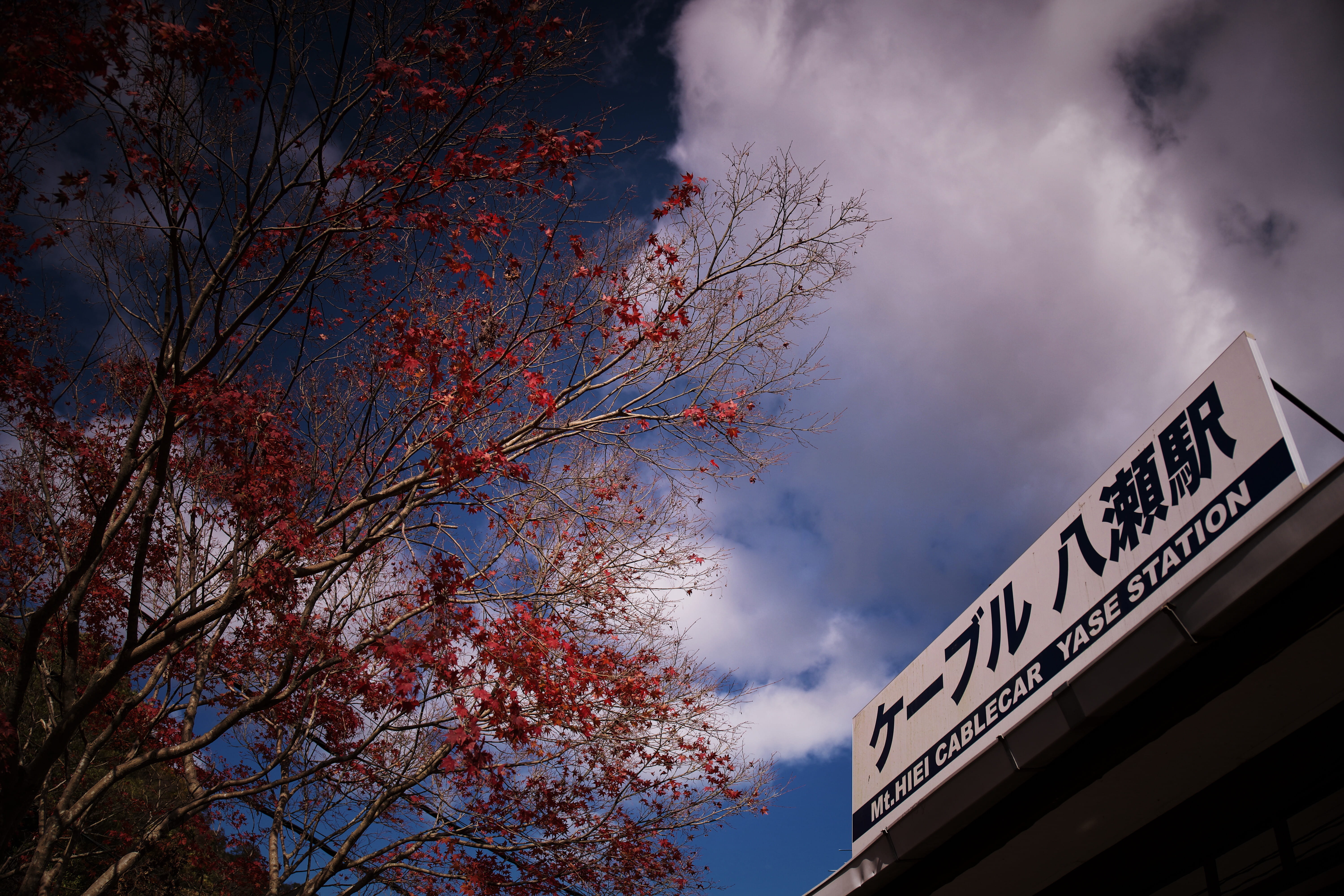outdoors, background, day, low angle view, japan, sky, 5K, plant, train station, nature, built structure, sign, change, cloud - sky, text, architecture, HD Wallpaper