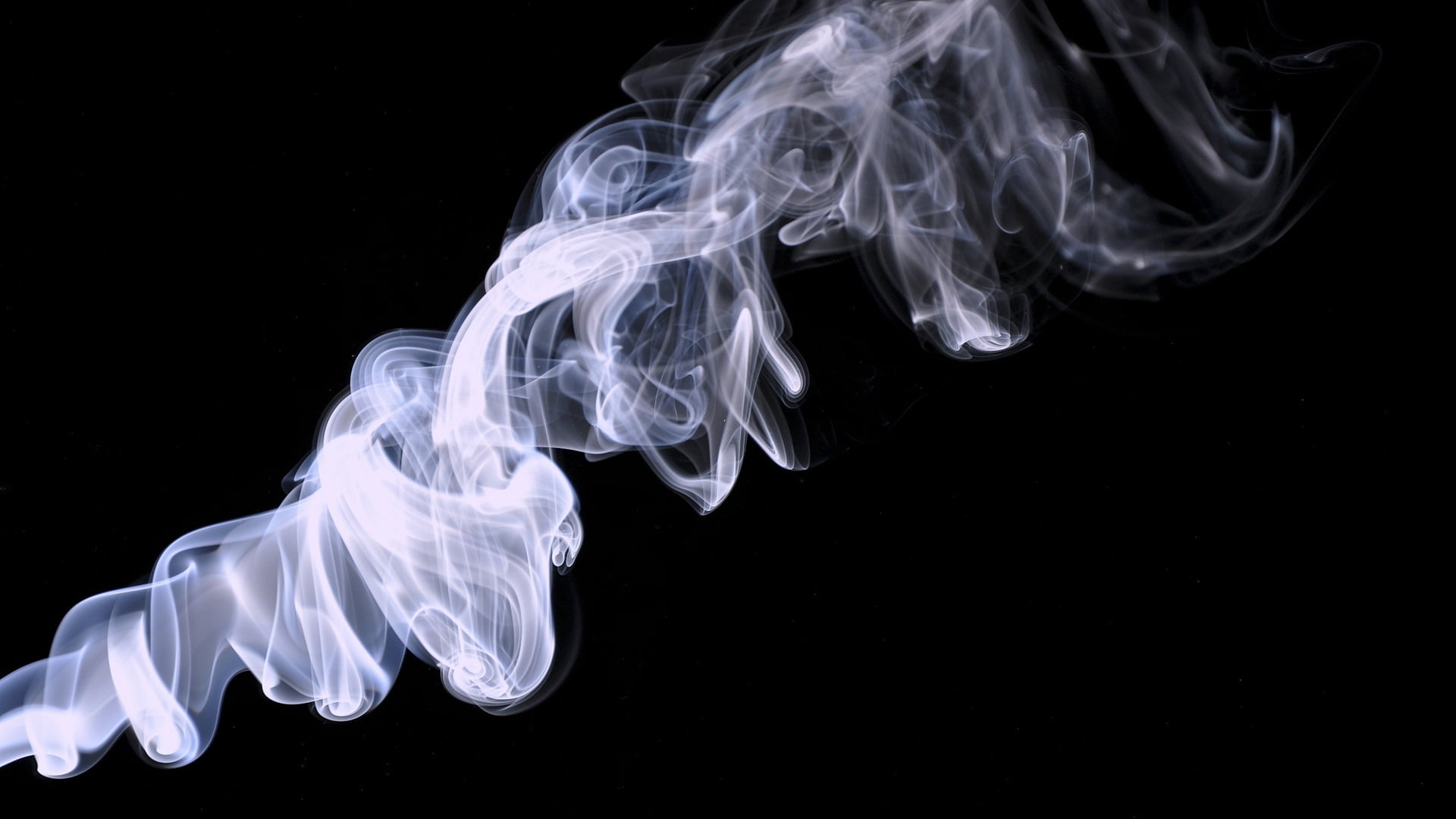 background, wave Pattern, 1080P, copy space, burning, curve, smoke, pattern, backgrounds, animals in the wild, white color, light - Natural Phenomenon, HD Wallpaper