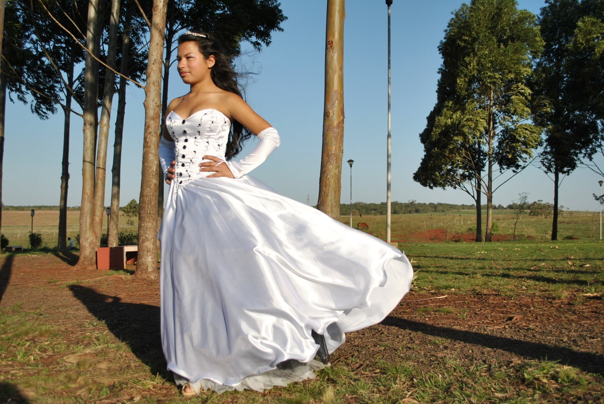 against the wind, long dress, young Adult, adult, married, land, tree, person, white, walking, leisure activity, brunette, beauty, day, black hair, satin, HD Wallpaper