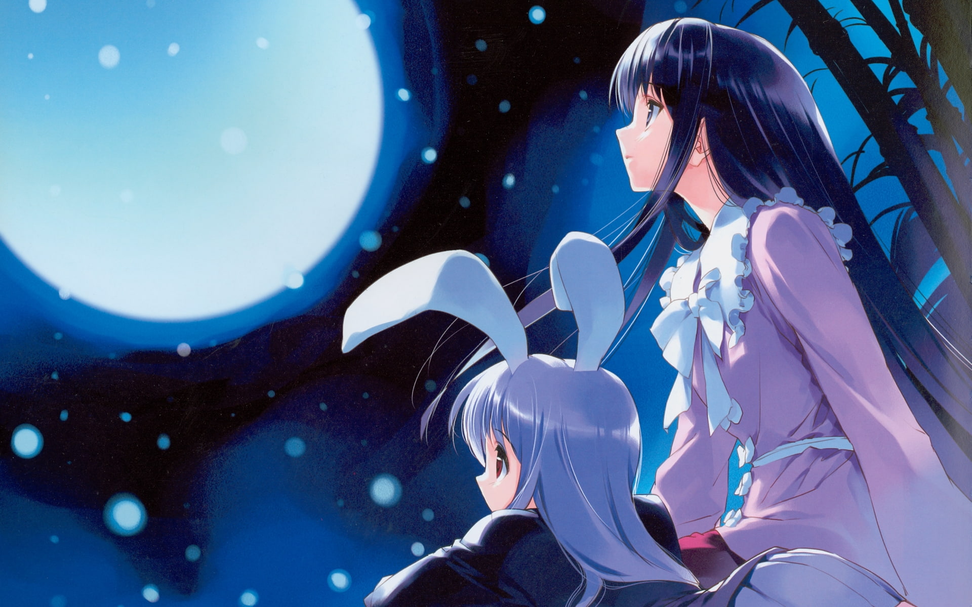 Touhou, 1080P, Reisen Udongein Inaba, Anime, Moon, Kaguya Houraisan, HD Wallpaper