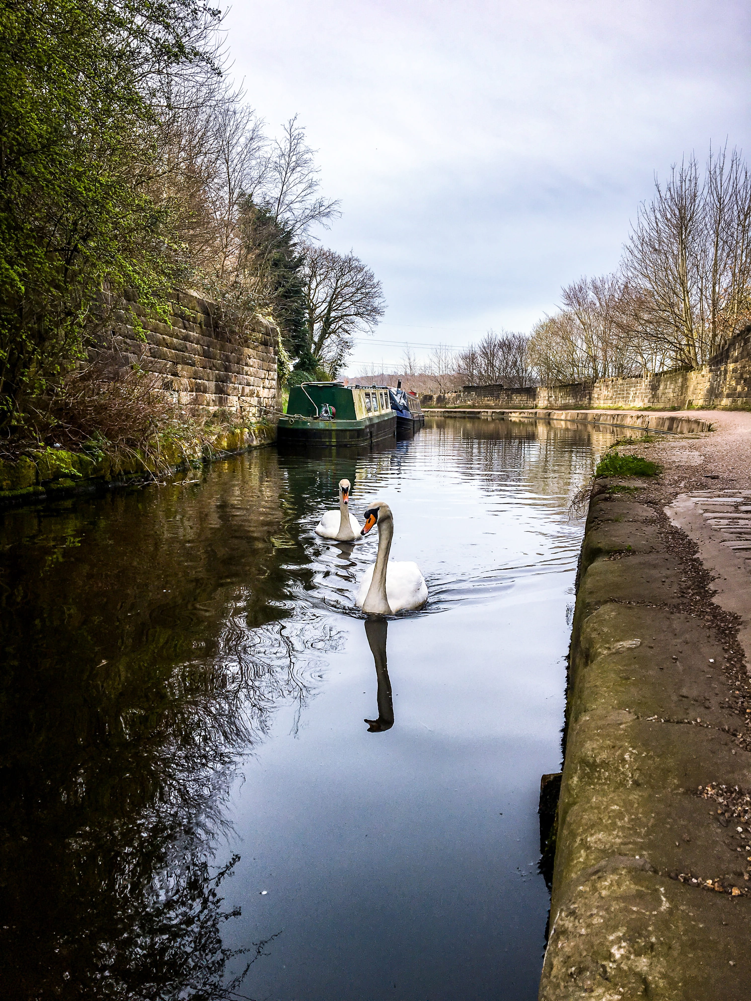 boat, animal themes, 4K, cloud - sky, path, ditch, tranquility, animal, non-urban scene, tree, castle, architecture, west yorkshire, day, leed liverpool canal, Phone HD Wallpaper