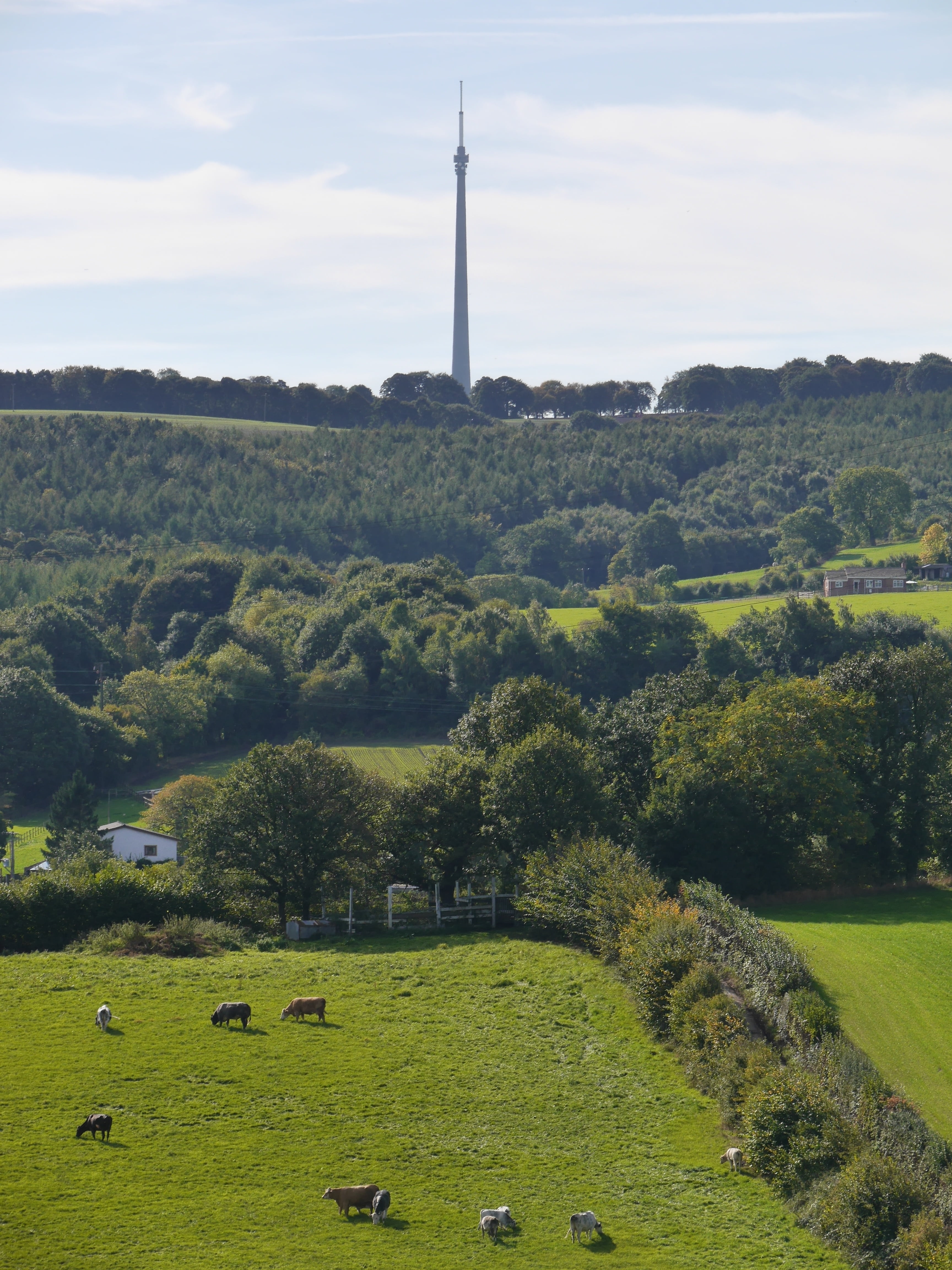 architecture, england, building, county, moor, emley moor, structure, environment, european, tree, day, grass, landmark, transmitter, nature, field, countryside, Phone HD Wallpaper