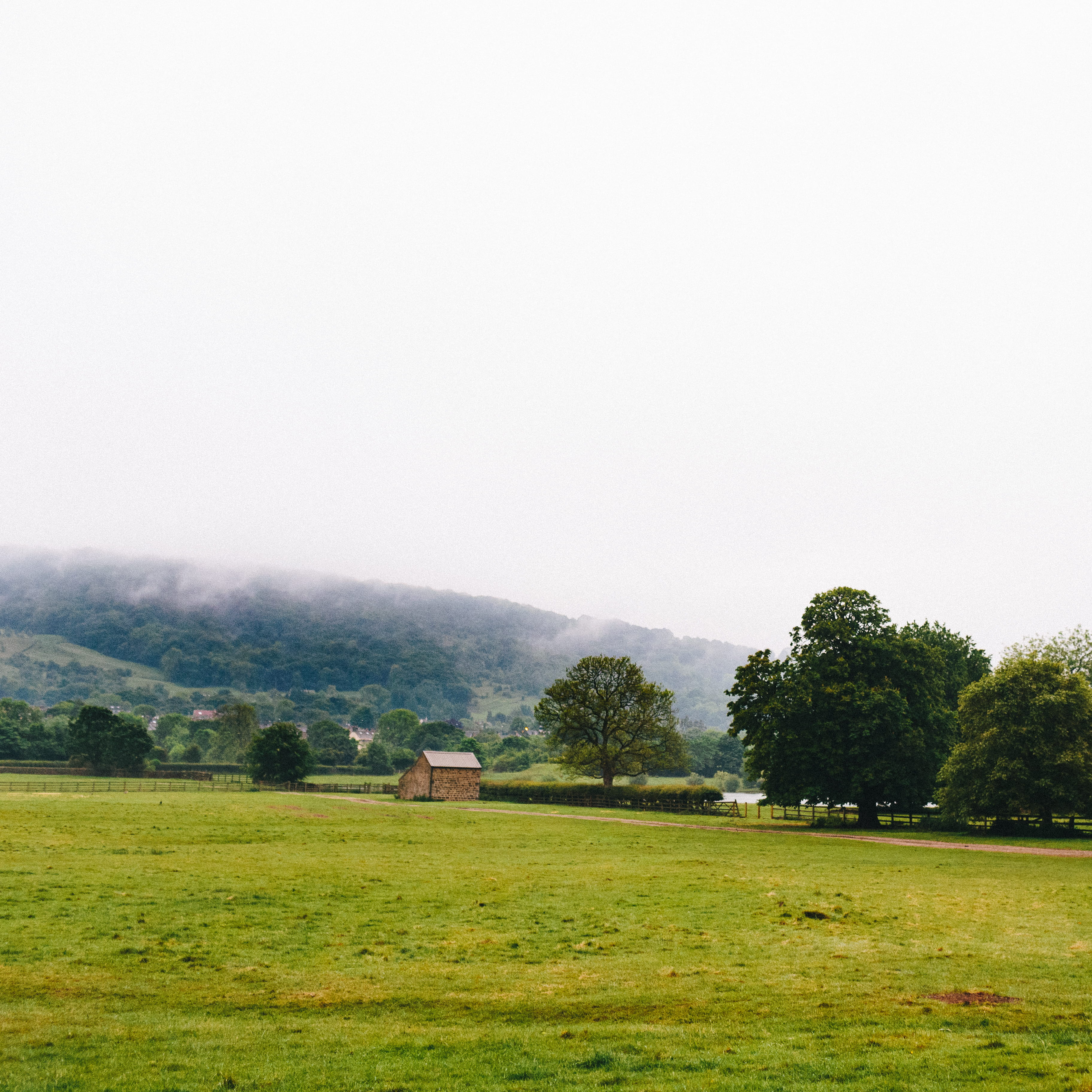 2K, united kingdom, farm, trees, leeds, environment, farming, plant, land, tree, country, grass, landscape, yorkshire, green color, fog, day, otley, field, Phone HD Wallpaper