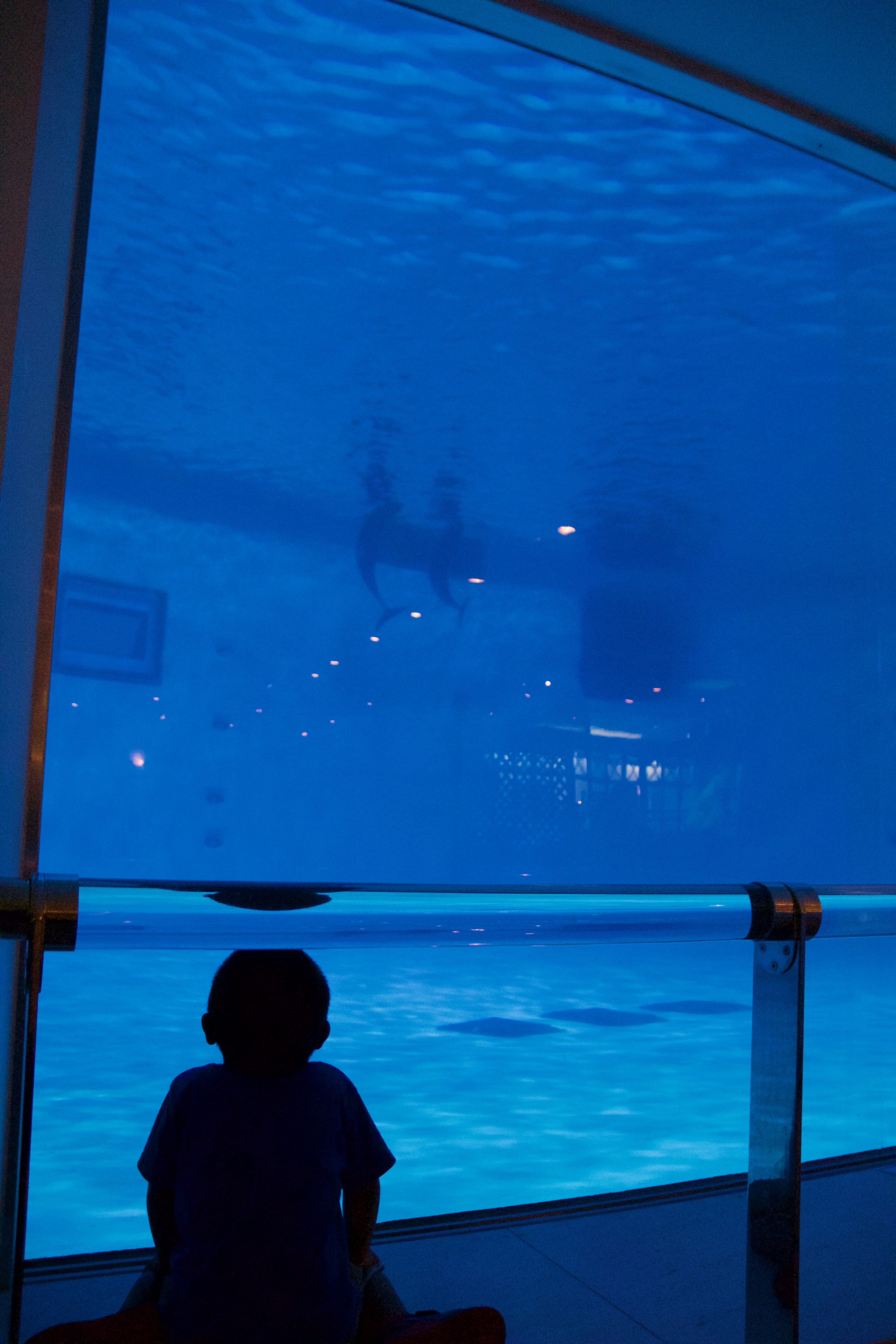 japan, sea, 5K, rear view, fukuoka, leisure activity, blue, fukuoka prefecture, glass - material, window, lifestyles, men, transparent, silhouette, childhood, Phone HD Wallpaper
