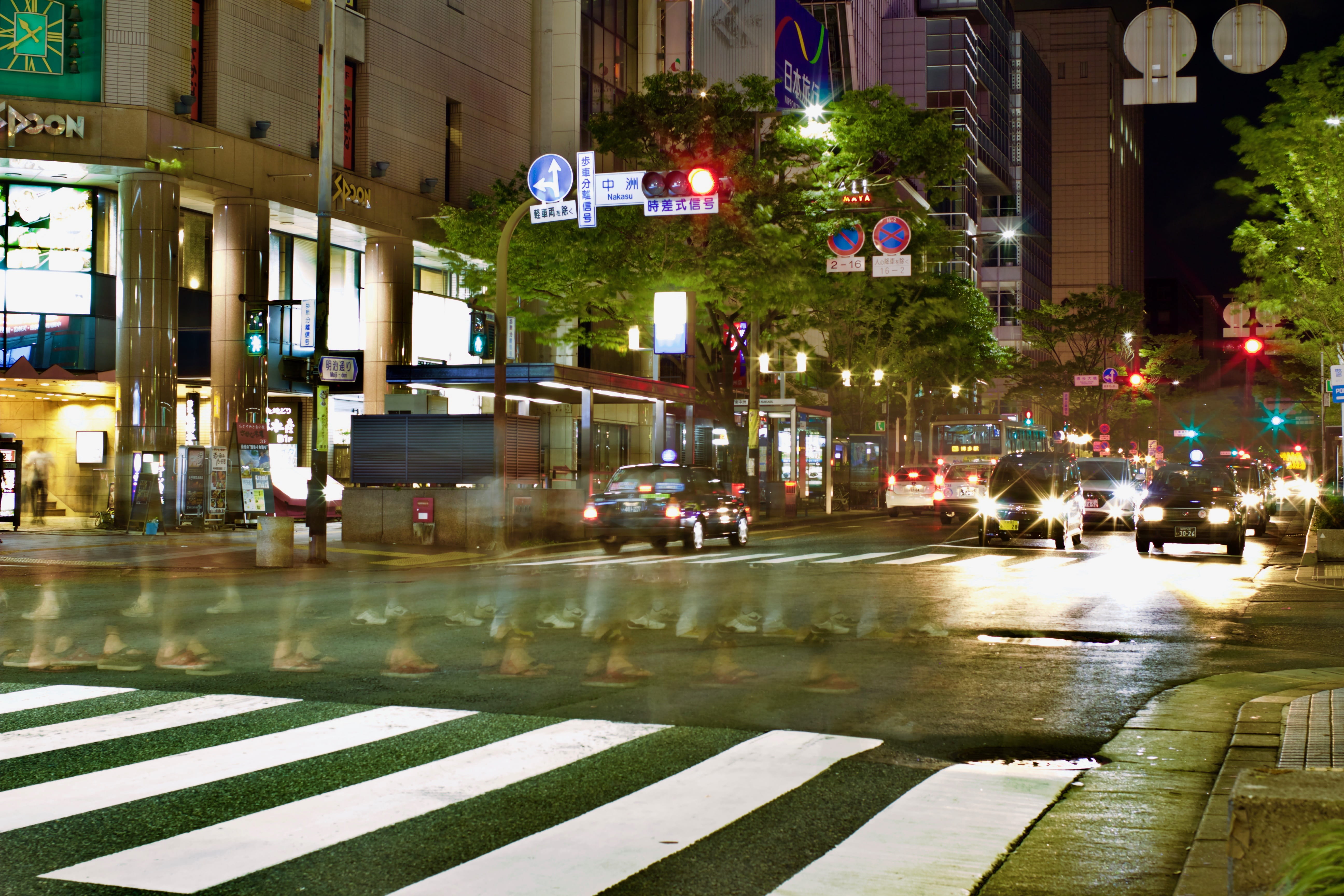 tree, plant, built structure, street, 5K, outdoors, rain, japan, illuminated, building exterior, city, architecture, city life, light, night, rainy season, HD Wallpaper
