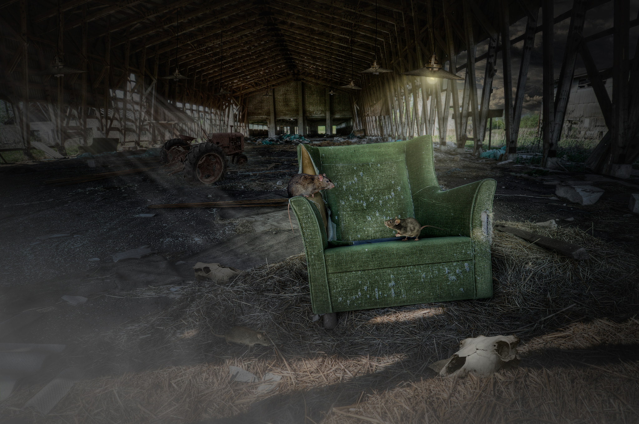 architecture, no people, deterioration, plant, old, 500px, wood - material, day, Andrey Mikhaylov, ruined, obsolete, indoors, domestic room, run-down, rats, HD Wallpaper