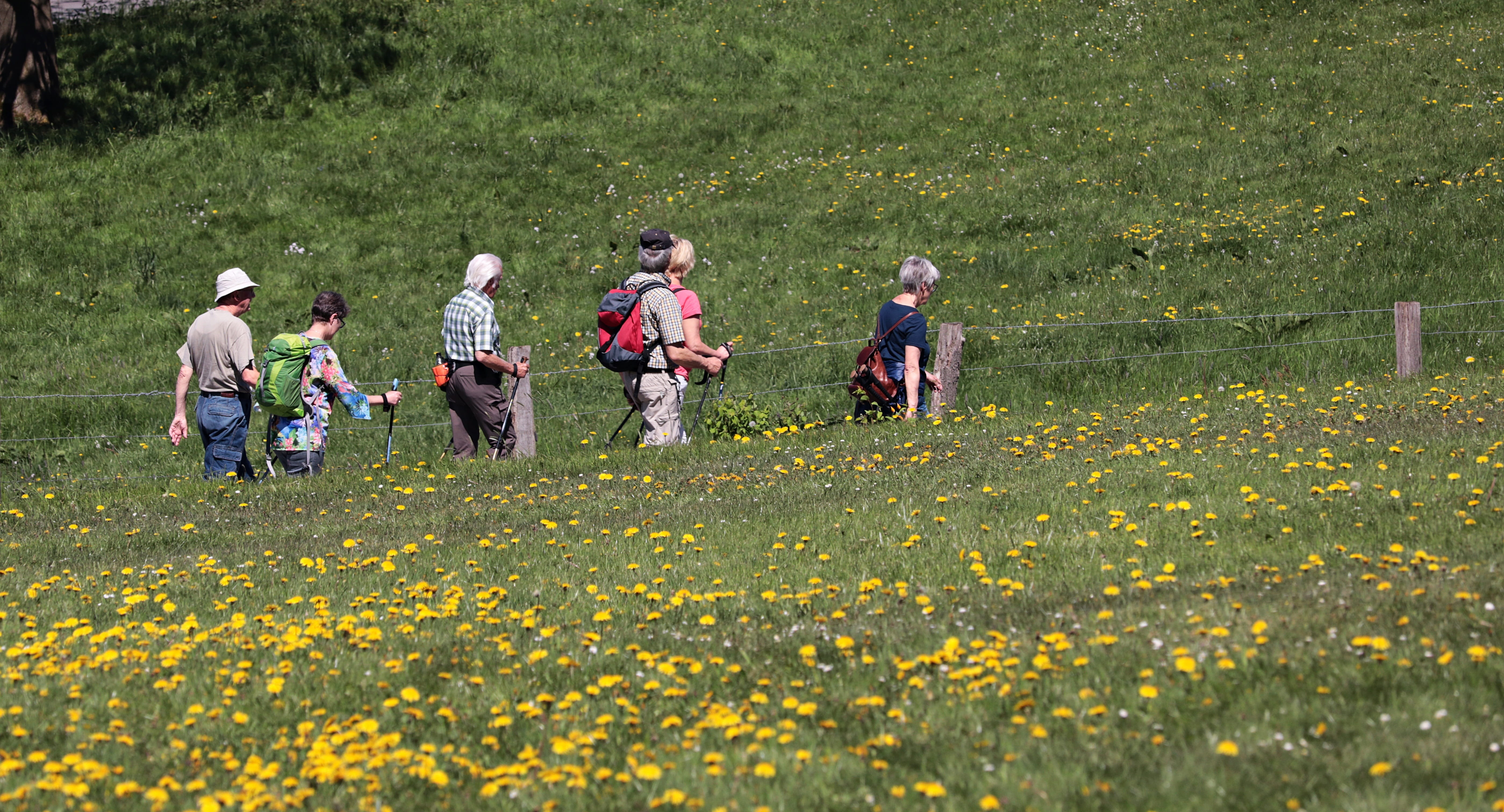 women, hike, togetherness, outdoors, girls, landscape way, yellow wild flowers, wanderer, promenade, lane, hiking group, group of people, childhood, growth, HD Wallpaper