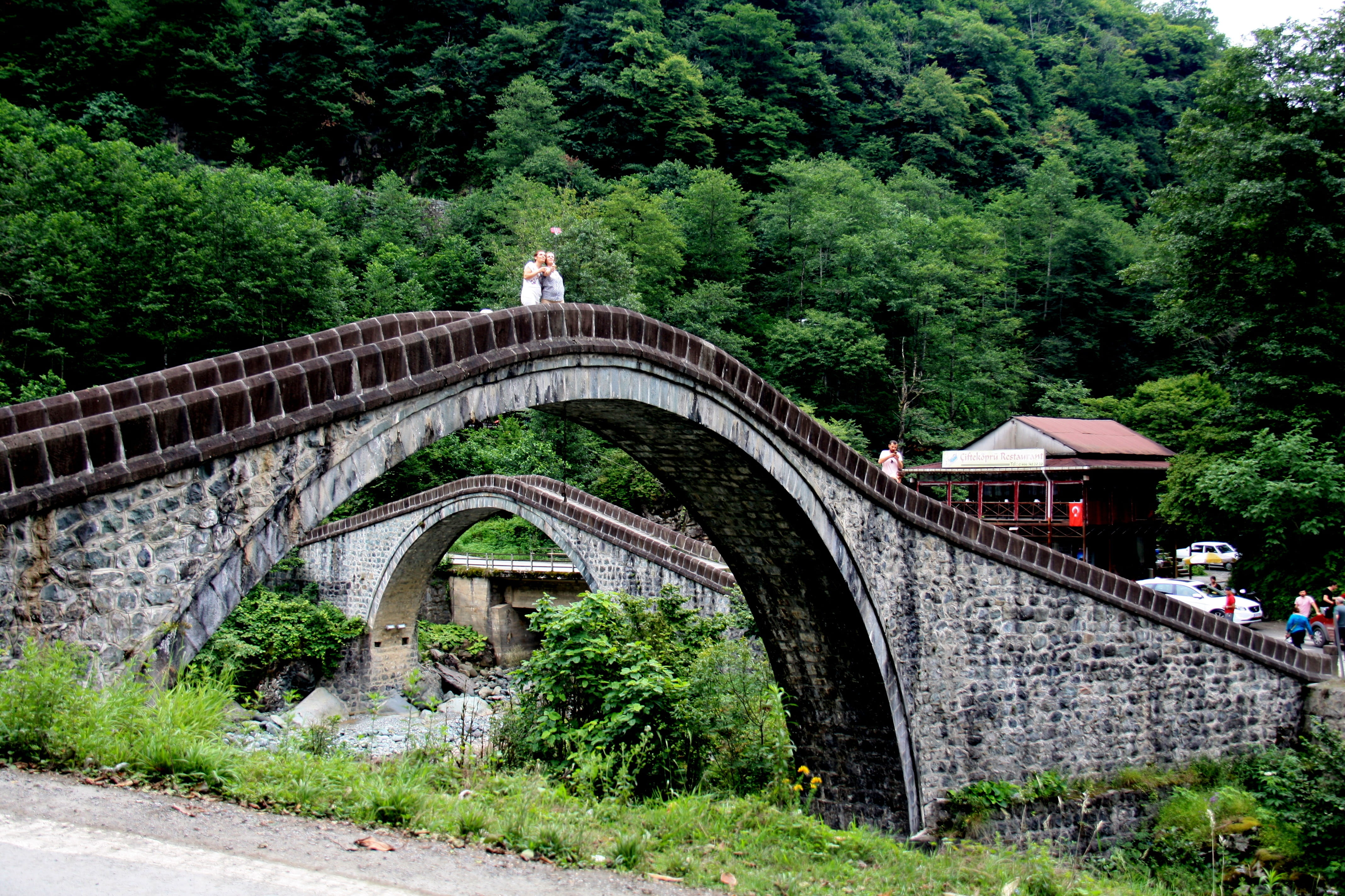 arch, green, transportation, beautiful, turkey, 4K, blacksea, plant, day, landscape, connection, park, architecture, growth, bridge - man made structure, HD Wallpaper