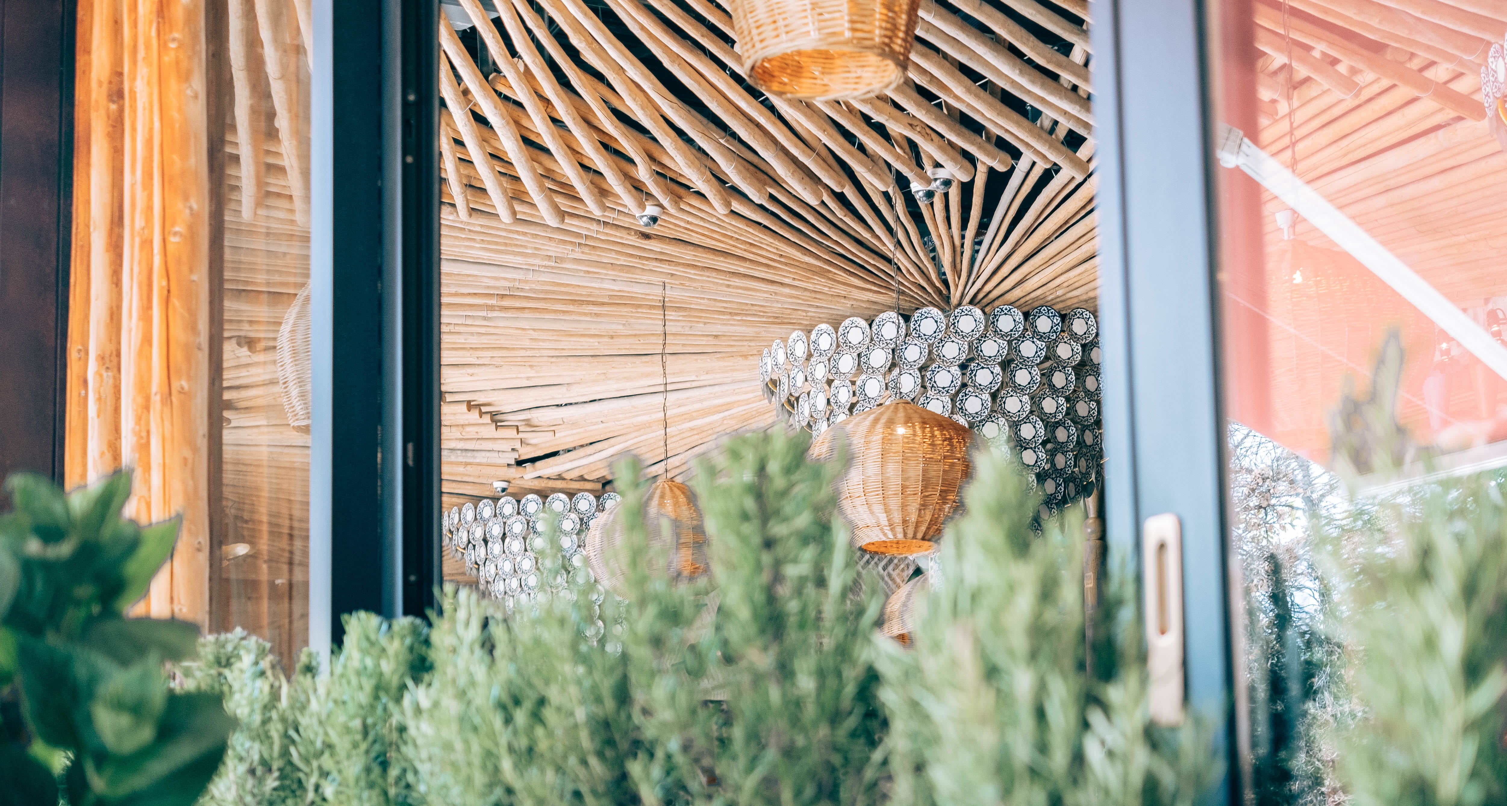 broom, russia, beach, gardening, xe3, building exterior, architecture, built structure, blacksea, cafe, glass - material, door, sea, day, growth, sochiponia, HD Wallpaper