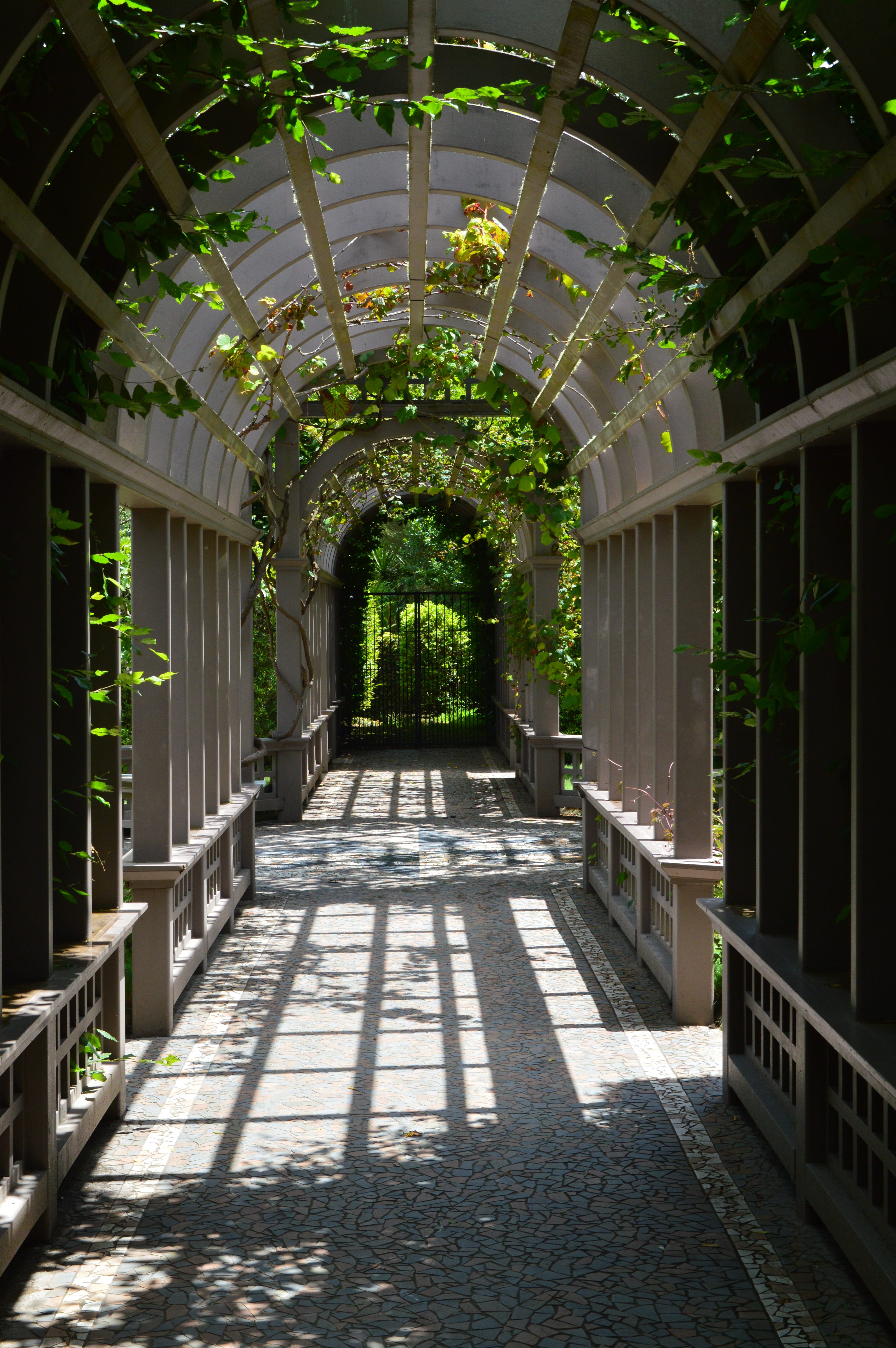 arch, architecture, architectural column, outdoors, 5K, sunlight, garden, empty, building, direction, nature, corridor, no people, diminishing perspective, Phone HD Wallpaper