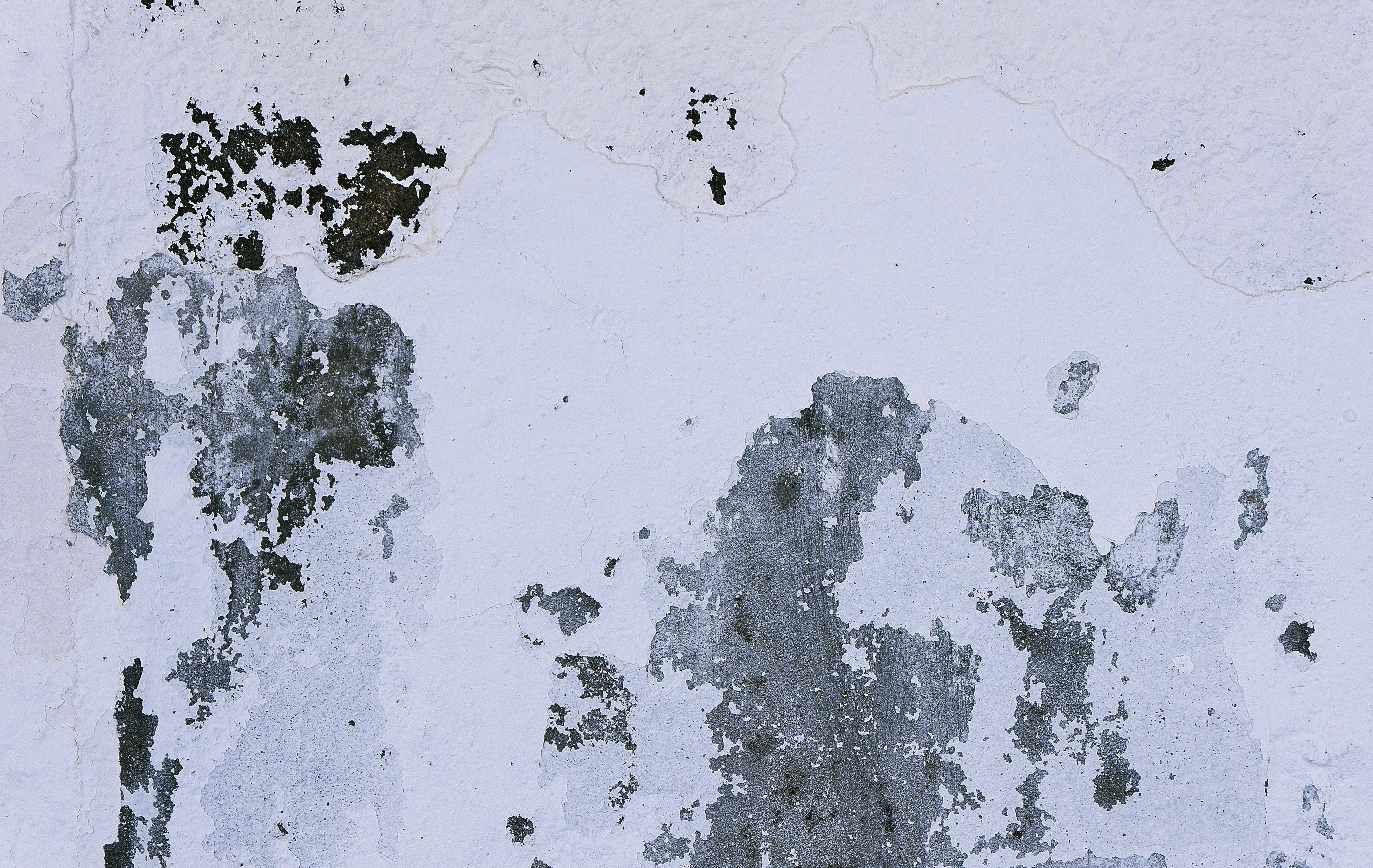 close-up, nature, no people, plant, tar, full frame, road, rough, 4K, plot, day, white color, diagram, wall, backgrounds, sketch, paint, art, architecture, HD Wallpaper