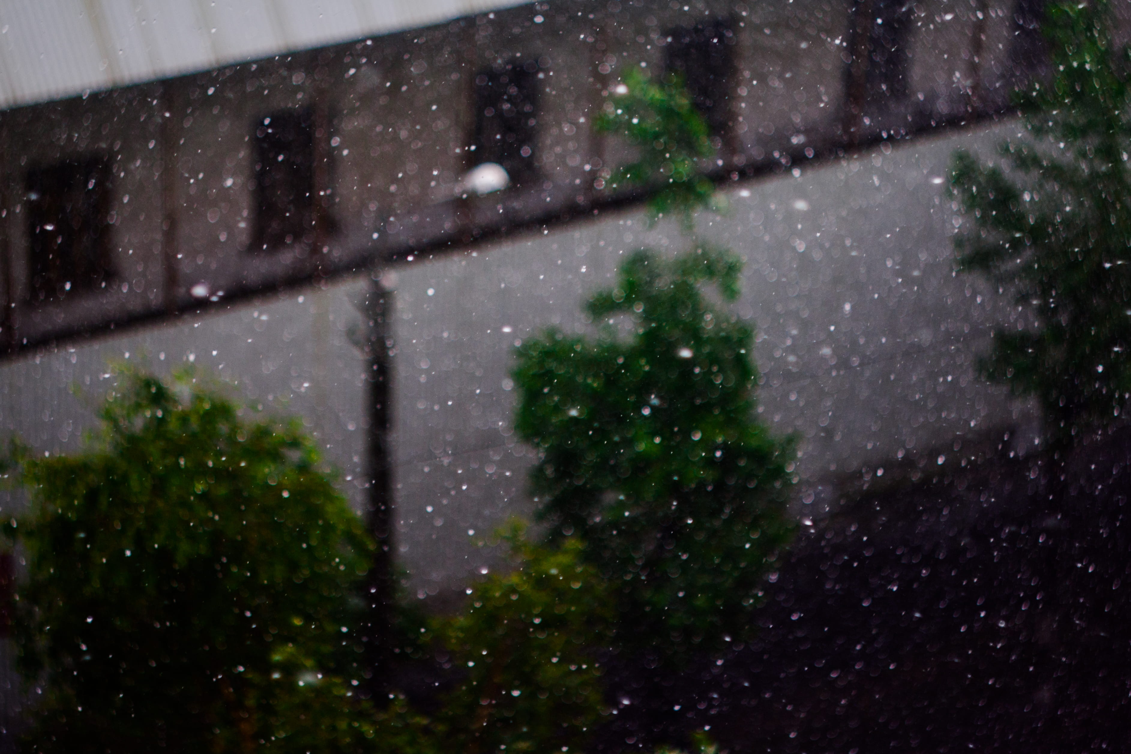snowing, firefly, city, garden, building, raindrop, leaf, glitter, pergola, window, transportation, indoors, architecture, flare, transparent, light, day, HD Wallpaper