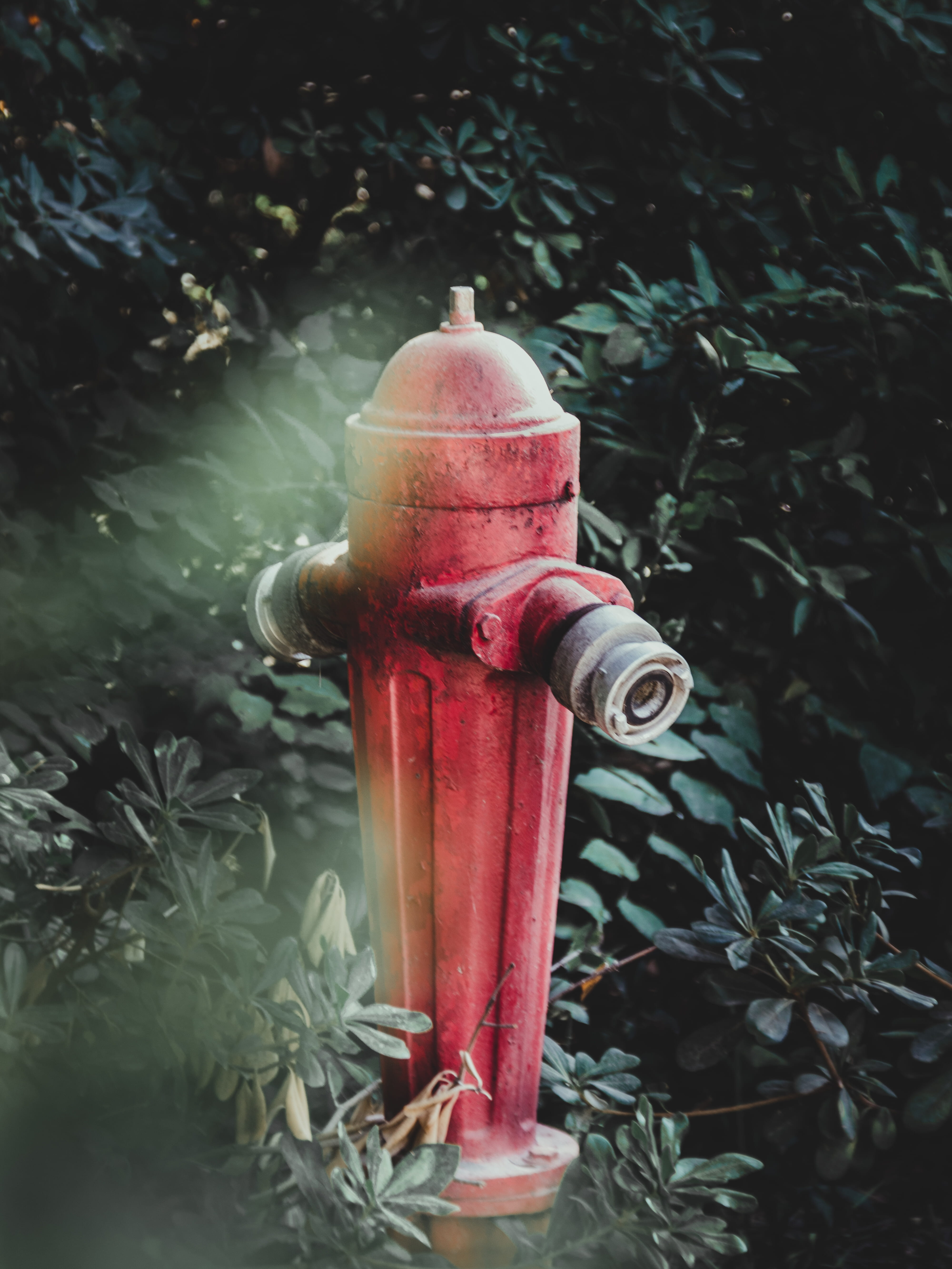 red, high angle view, machine valve, close-up, athina, rusty, valve, national garden, protection, accidents and disasters, nature, metal, outdoors, safety, Phone HD Wallpaper