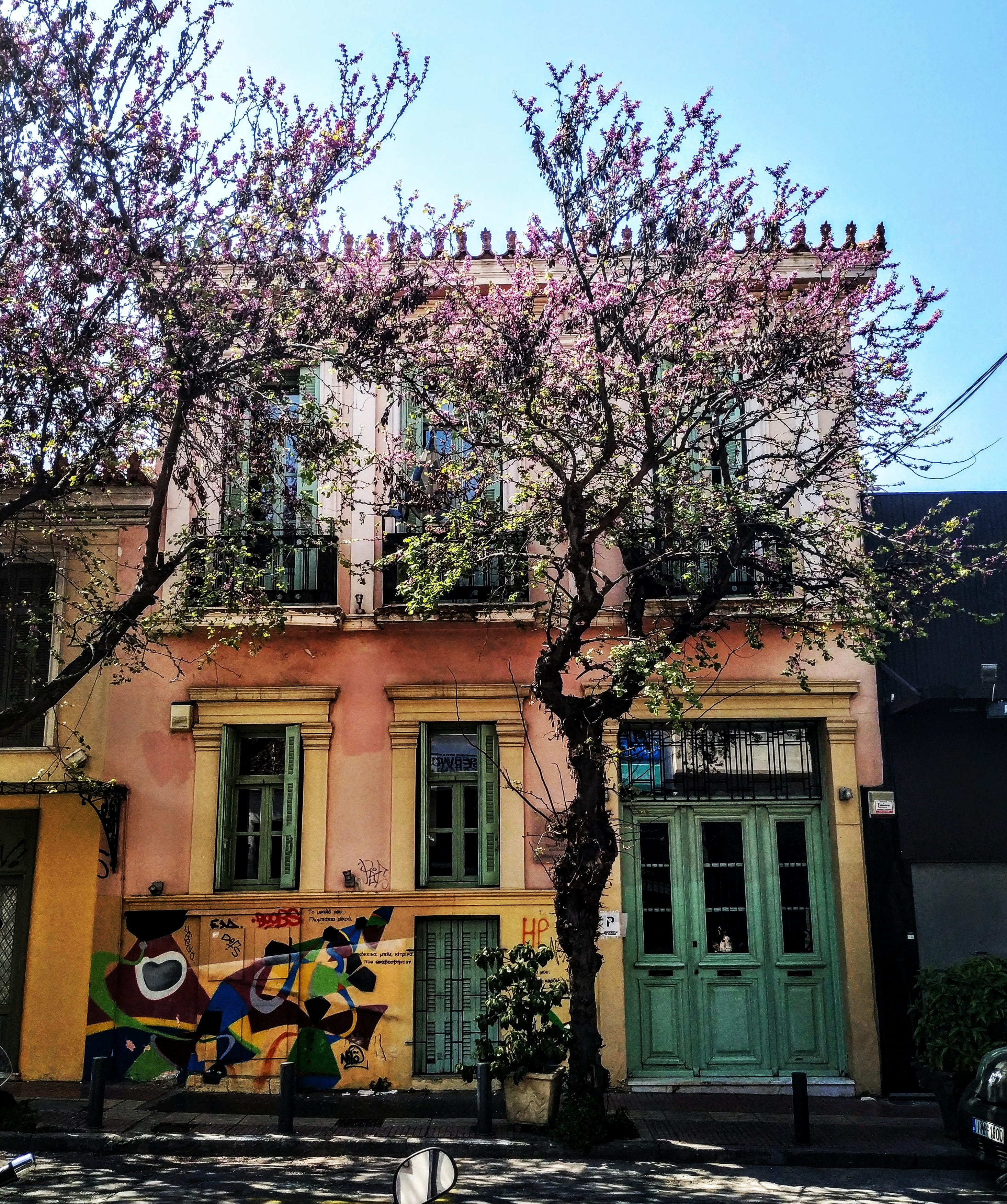 no people, bicycle, building exterior, plant, flower, mural, branch, banister, residential district, pink color, day, tree, city, ag. asomaton 47, flowering plant, Phone HD Wallpaper