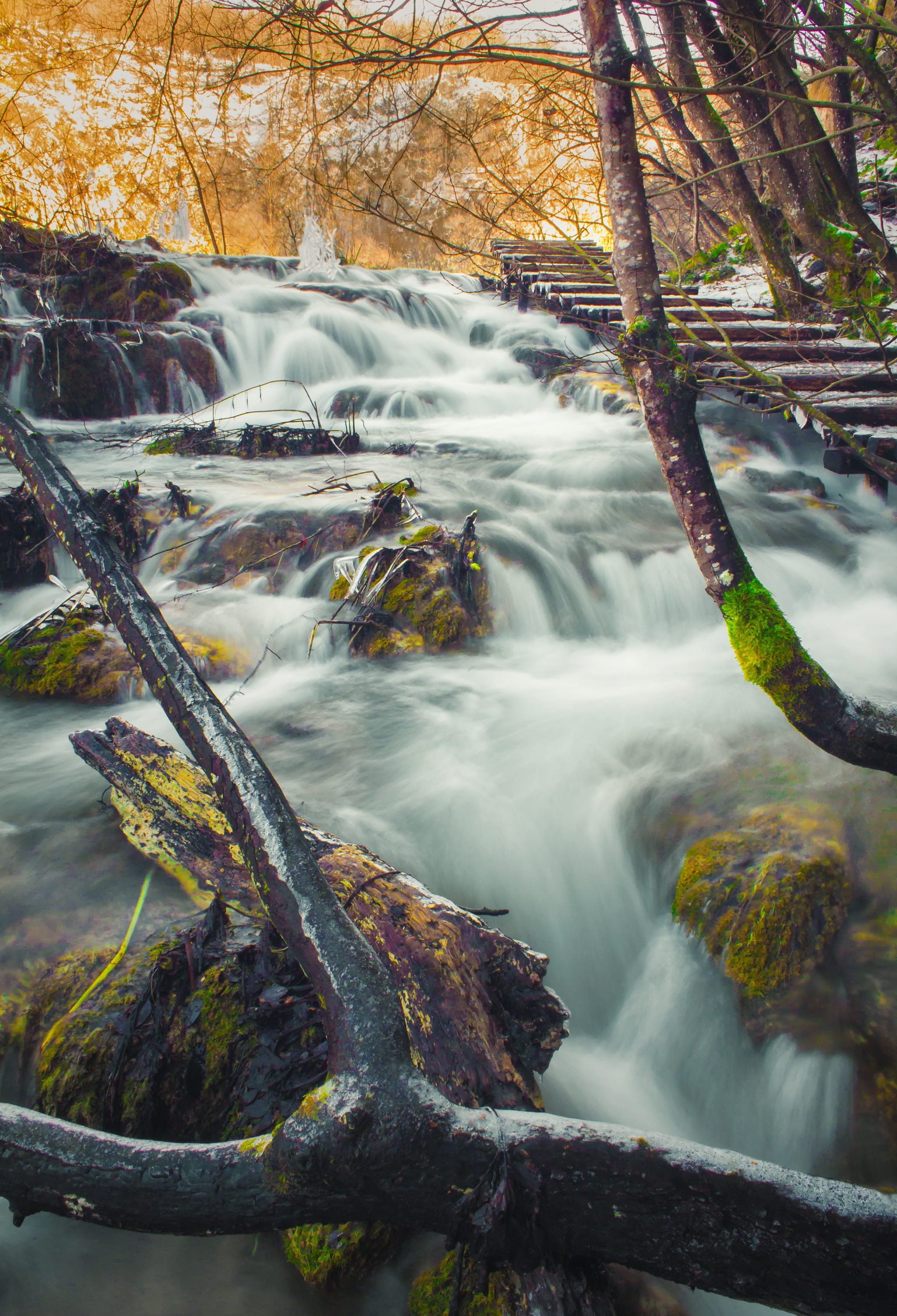 blurred motion, plitvice, long expo, milky water, trunk, land, long exposure, flowing water, lake, plitvice lake, tree, plant, 2K, day, water, scenics - nature, Phone HD Wallpaper