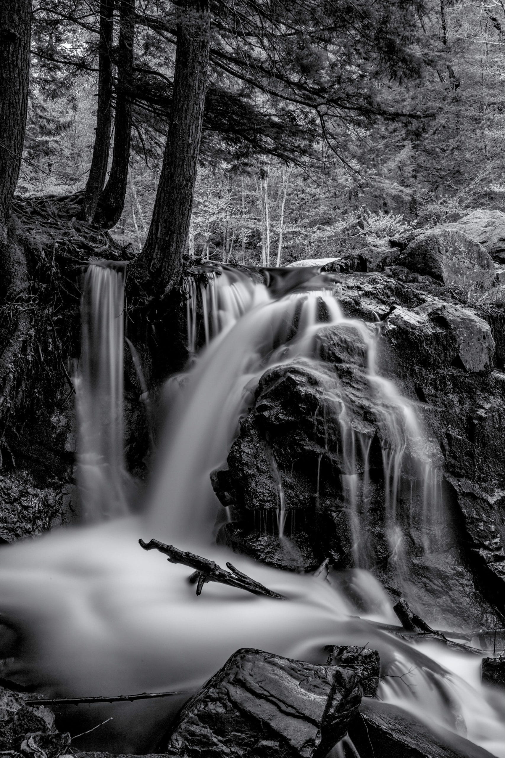 day, plant, long expo, motion, smooth, beauty in nature, mountains, 2K, natural, flowing water, nature, tree, land, blurred motion, growth, united states, Phone HD Wallpaper