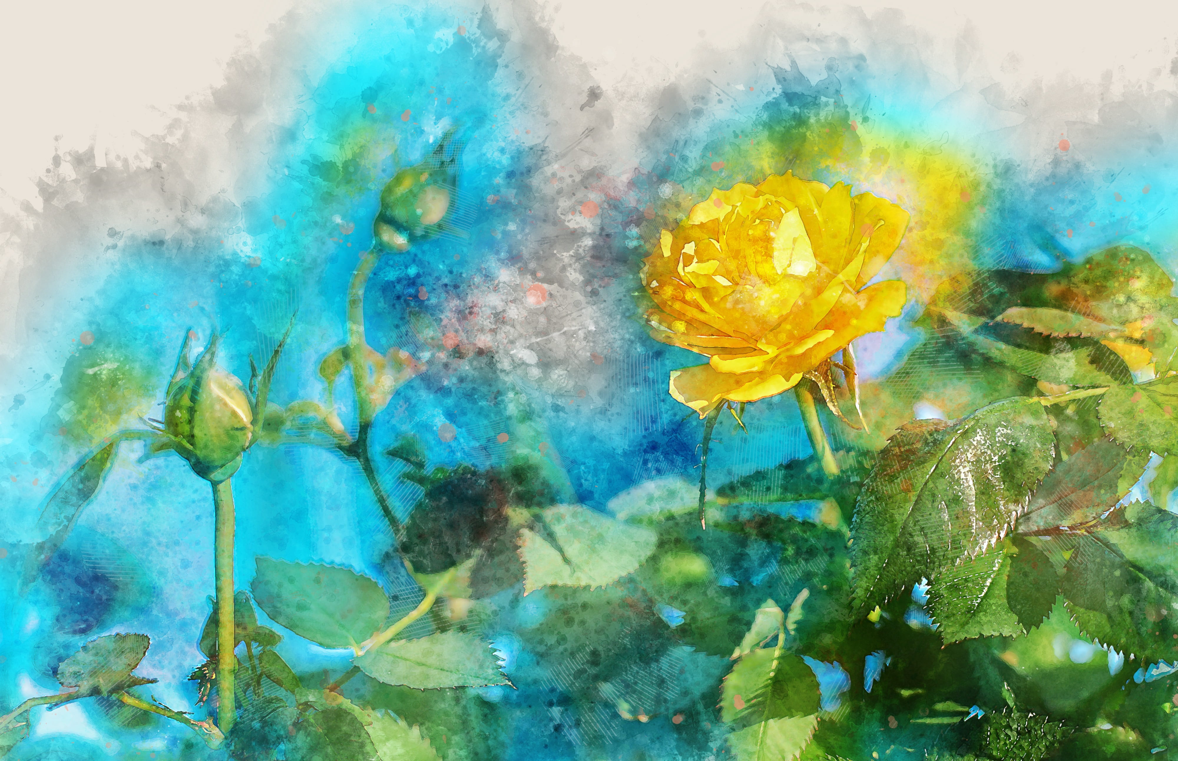 4K, plant, flower, watercolor, bright, nature, green color, rose, flora, day, spring, beautiful, color, multi colored, leaf, motion, close-up, summer, HD Wallpaper