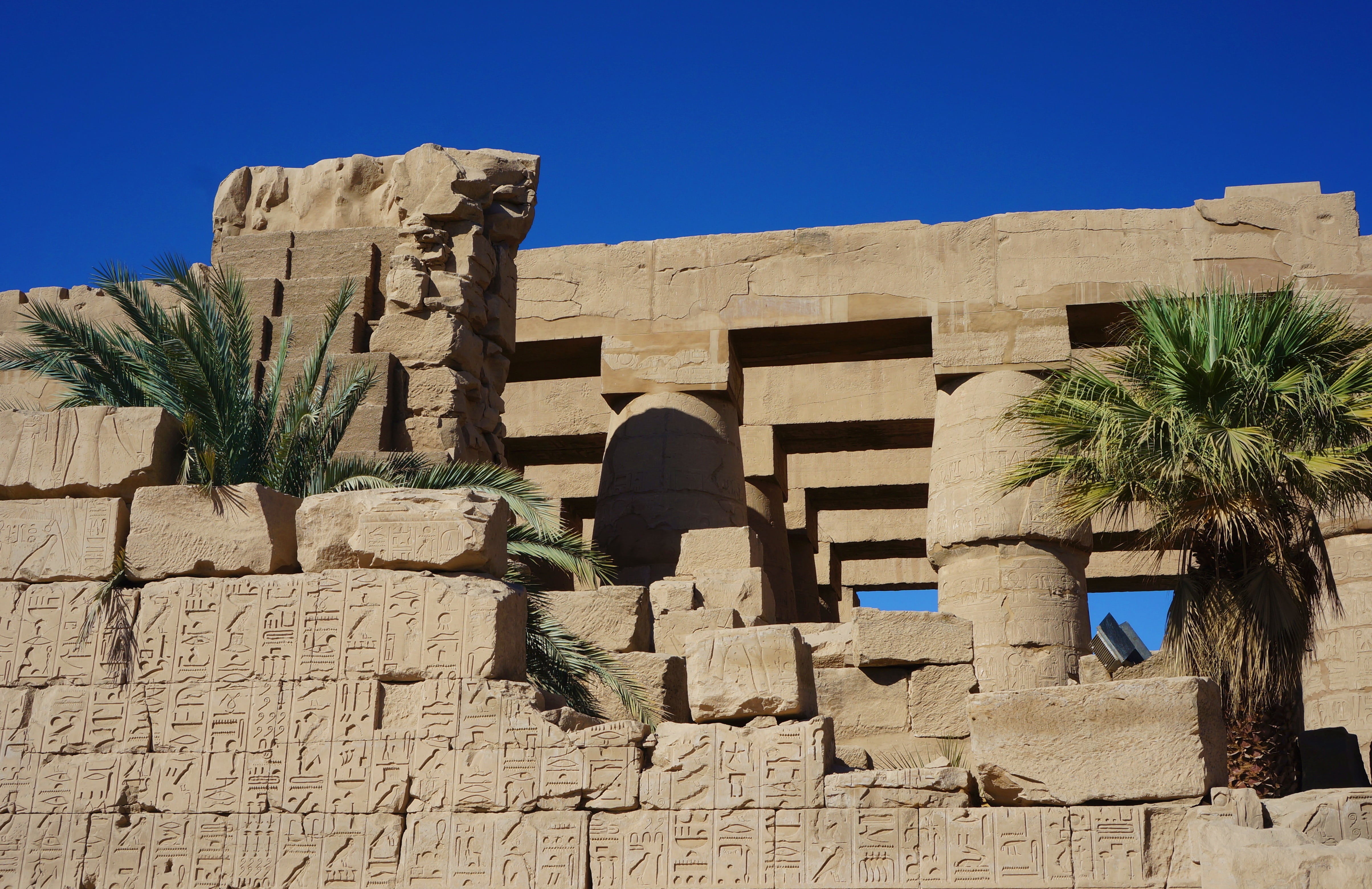 hall, ancient civilization, day, palm tree, built structure, travel, old ruin, ruined, no people, nature, the past, temple complex, arid climate, old, historically, HD Wallpaper