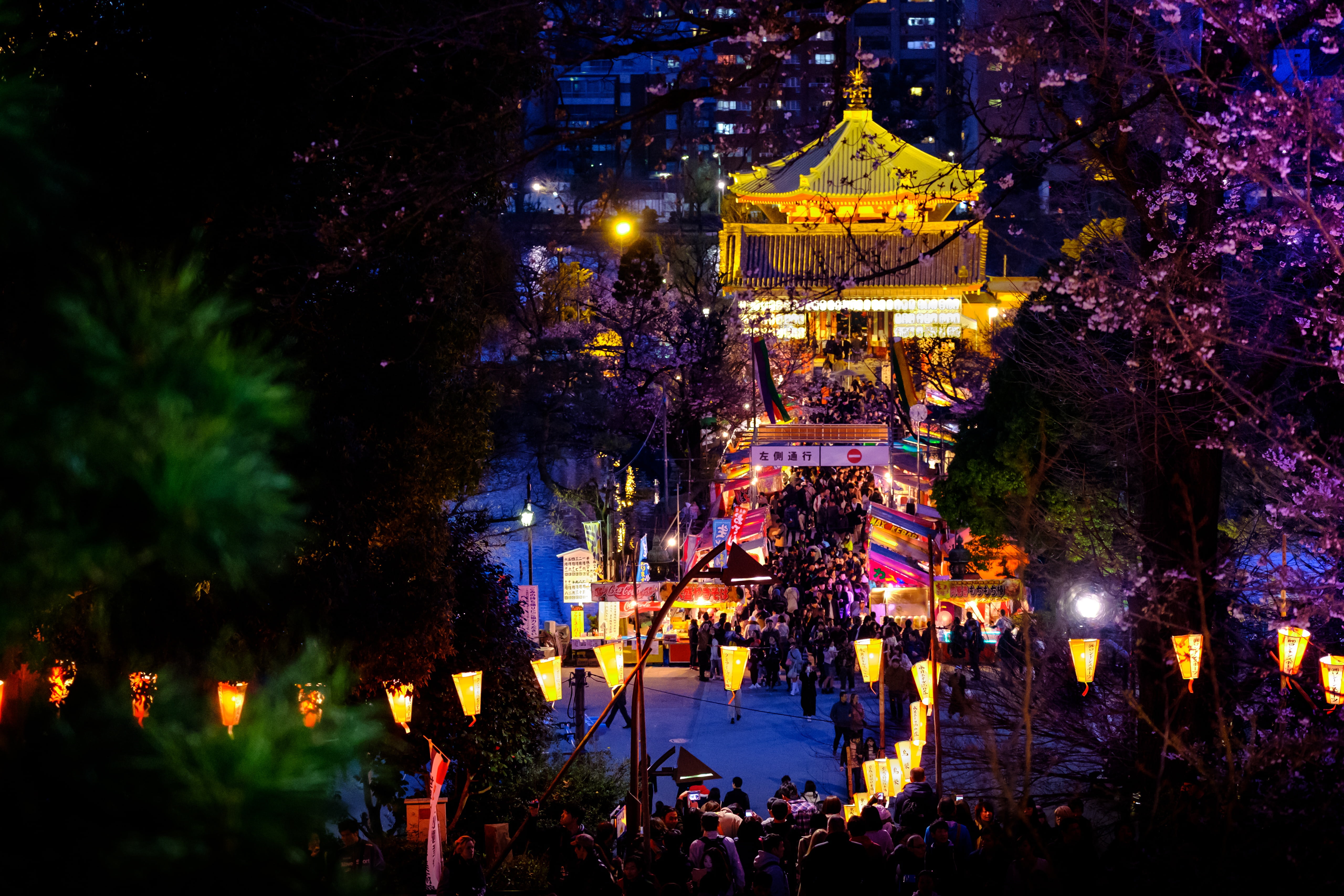 illuminated, group of people, large group of people, matrix, building, crowd, 5K, plant, japan culture, high angle view, festival, landscape, stalls, nature, HD Wallpaper