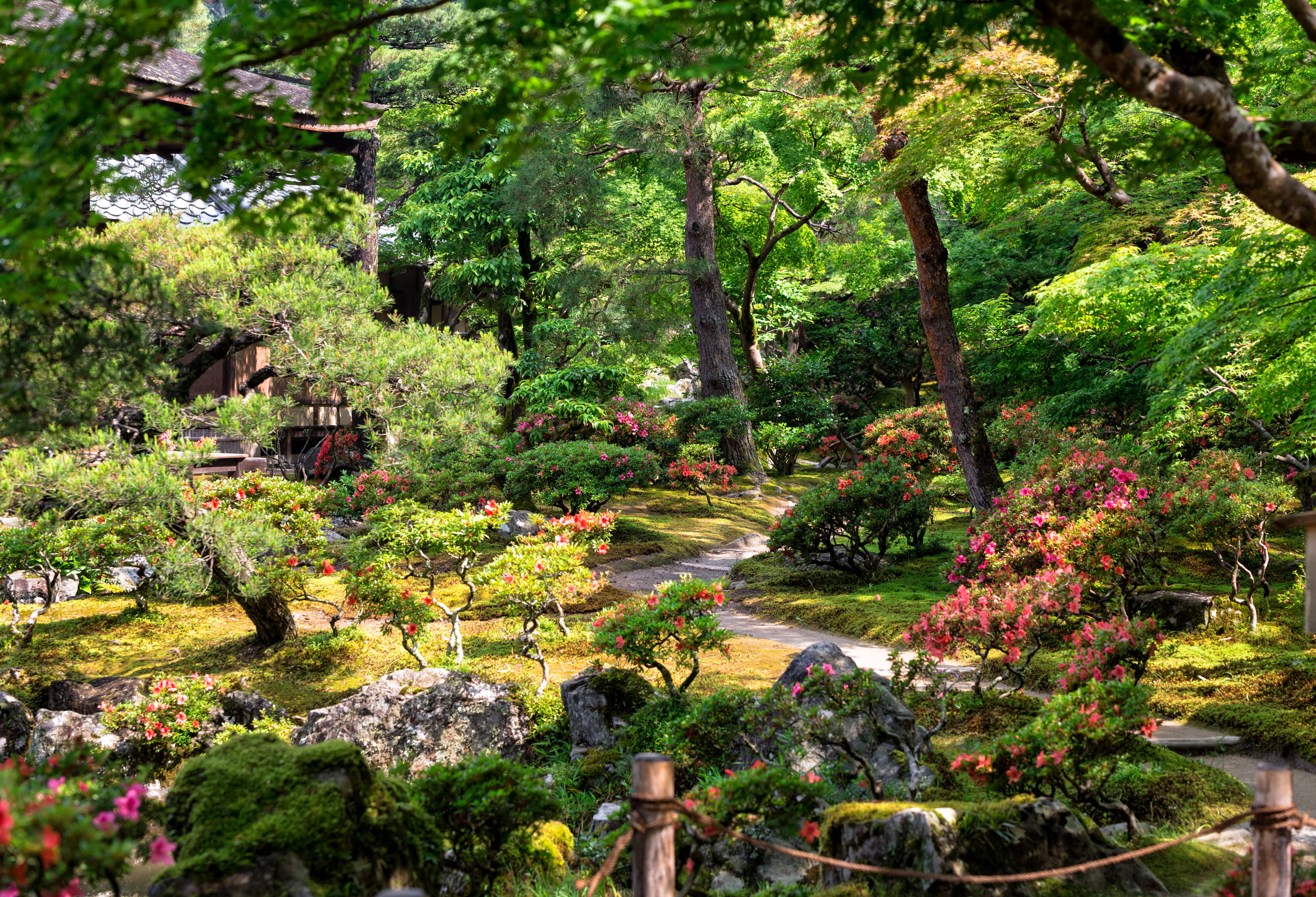 no people, japanese, travel, growth, day, 5K, green, plant, forest, ornamental garden, temple, kyoto, tree, peace, japan, outdoors, tranquil scene, pond, HD Wallpaper