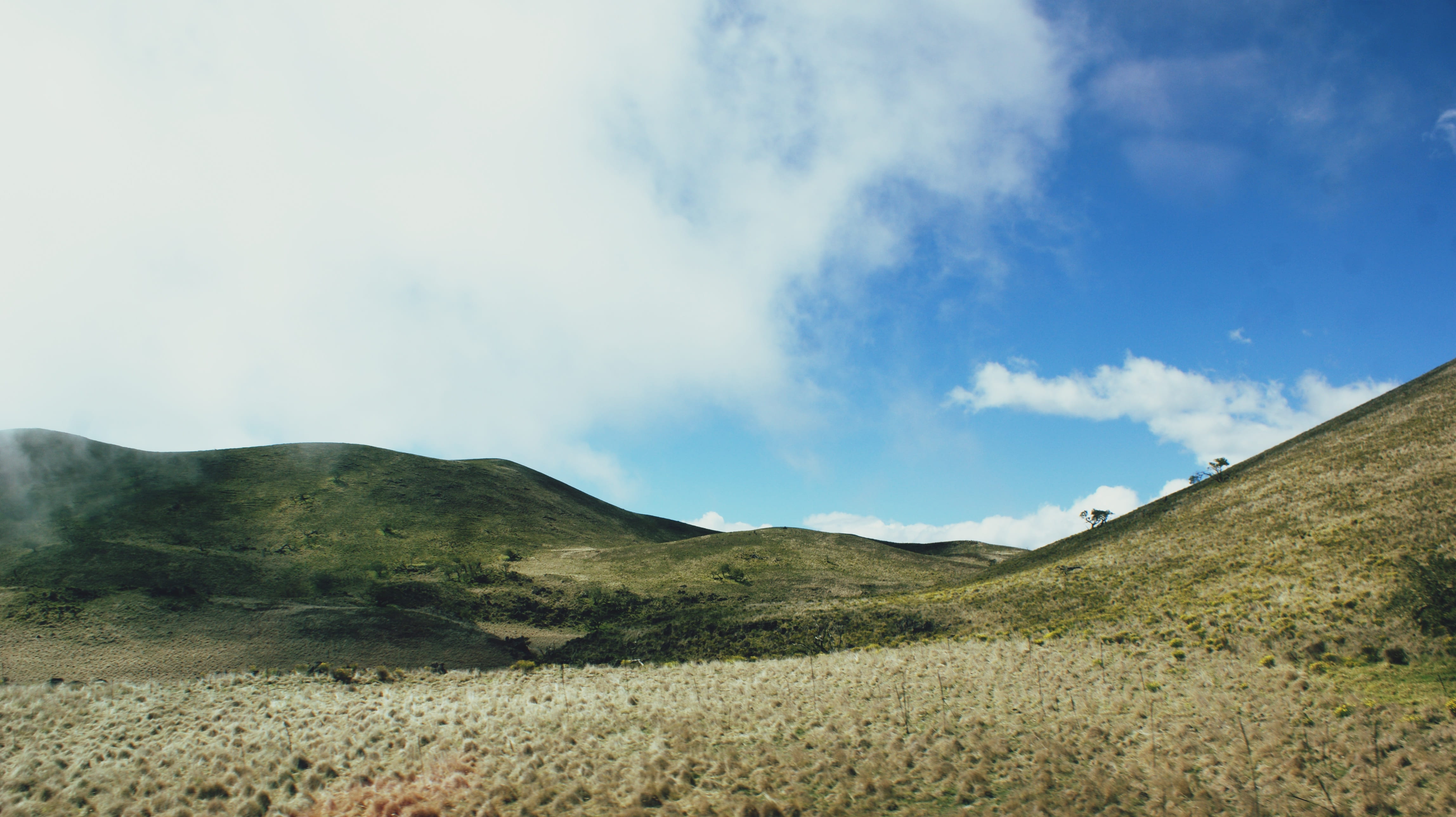 kea, outdoors, top, tropics, tree, telescope, astronomy, hawaii, day, semi-arid, cloud, wilderness, pacific, blue, observatory, volcano, mountain range, HD Wallpaper