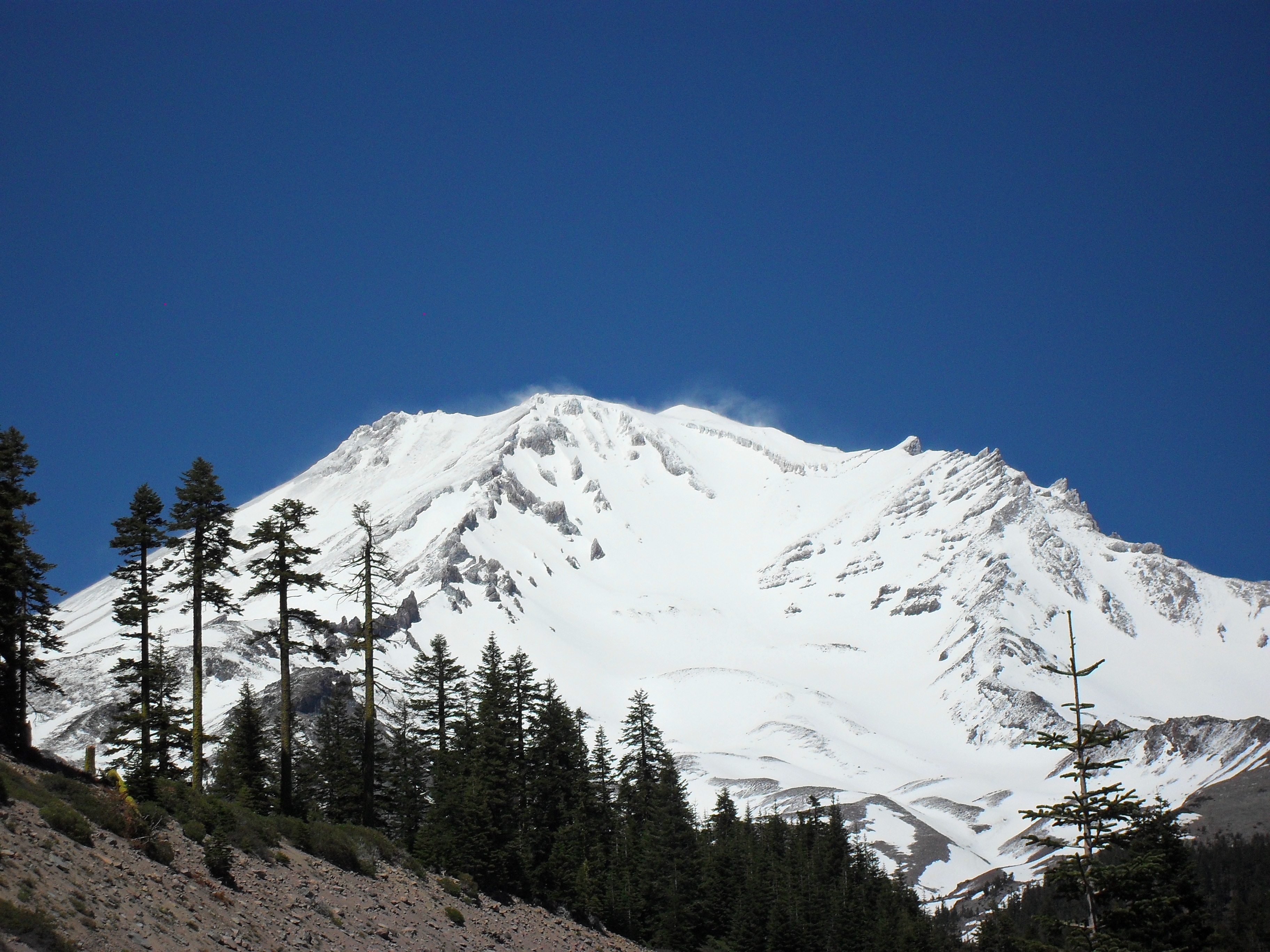 2K, pines, landscape, snowcapped, clear sky, winter, park, snow, trees, mountain peak, mount shasta, scene, mountain range, environment, non-urban scene, HD Wallpaper