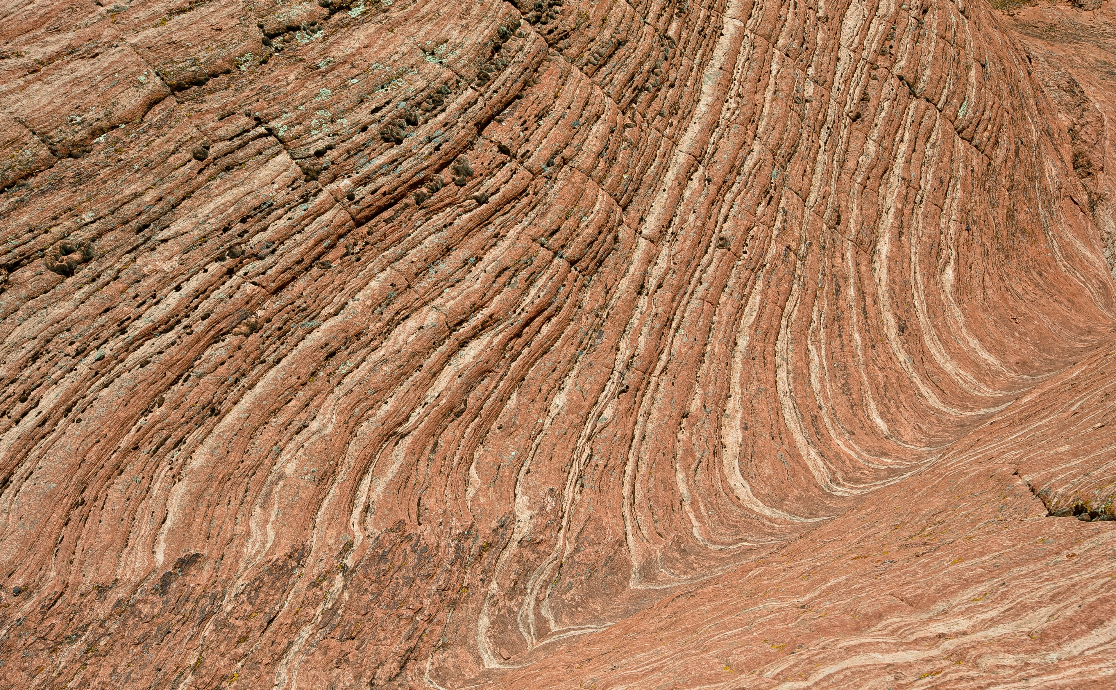 4K, stgeorge, non-urban scene, park, brown, textured, rock - object, outdoors, United States, Utah, no people, southernutah, arid climate, scenics - nature, HD Wallpaper