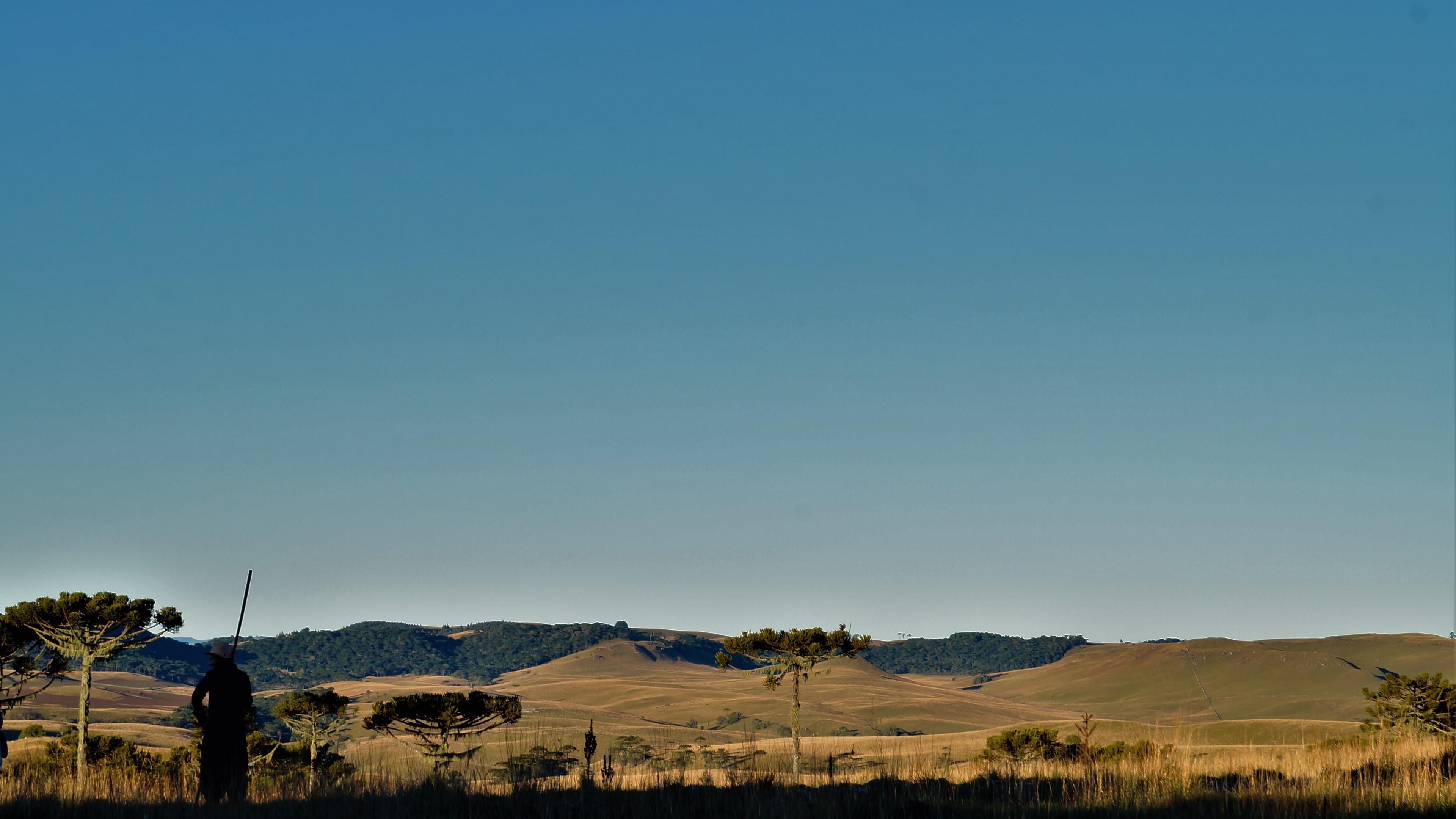 outdoors, clear sky, pampa, plant, beauty in nature, landscape, gaucho, field, idyllic, land, blue, scenics - nature, day, tranquility, copy space, nature, HD Wallpaper