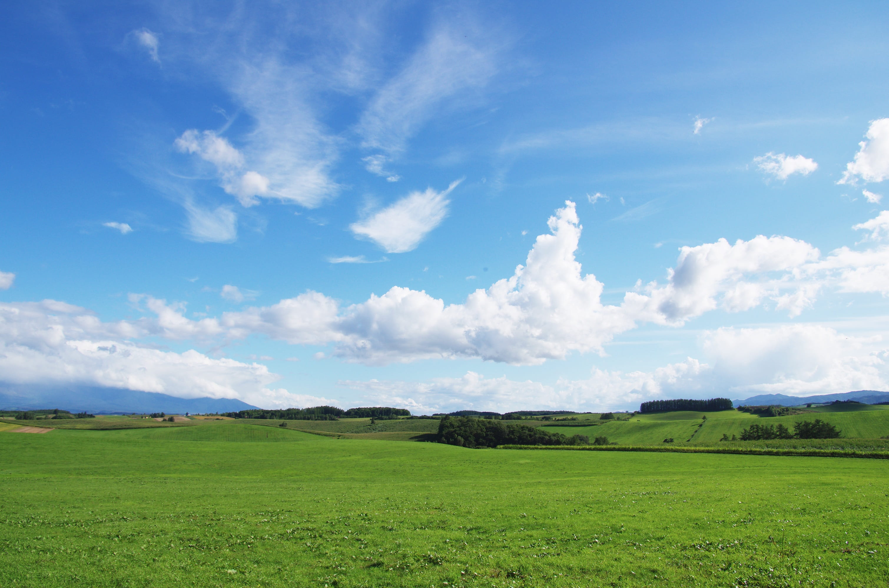 green, beauty in nature, land, Natural, agriculture, tranquility, Biei, grass, landscape, cloud - sky, scenics - nature, day, blue, nature, environment, HD Wallpaper