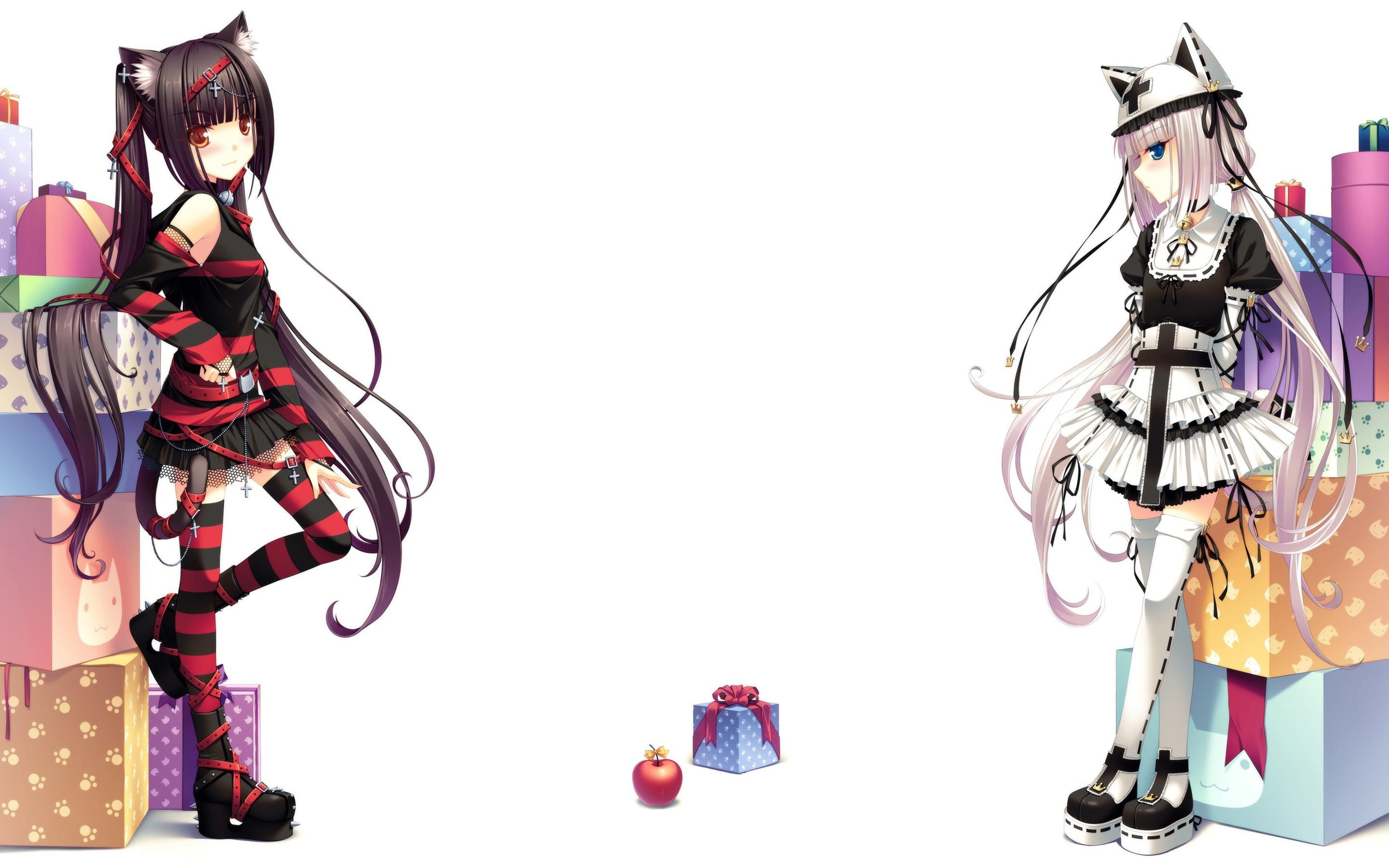2K, 2880x1800, catgirl, character, catgirls, anime, HD Wallpaper