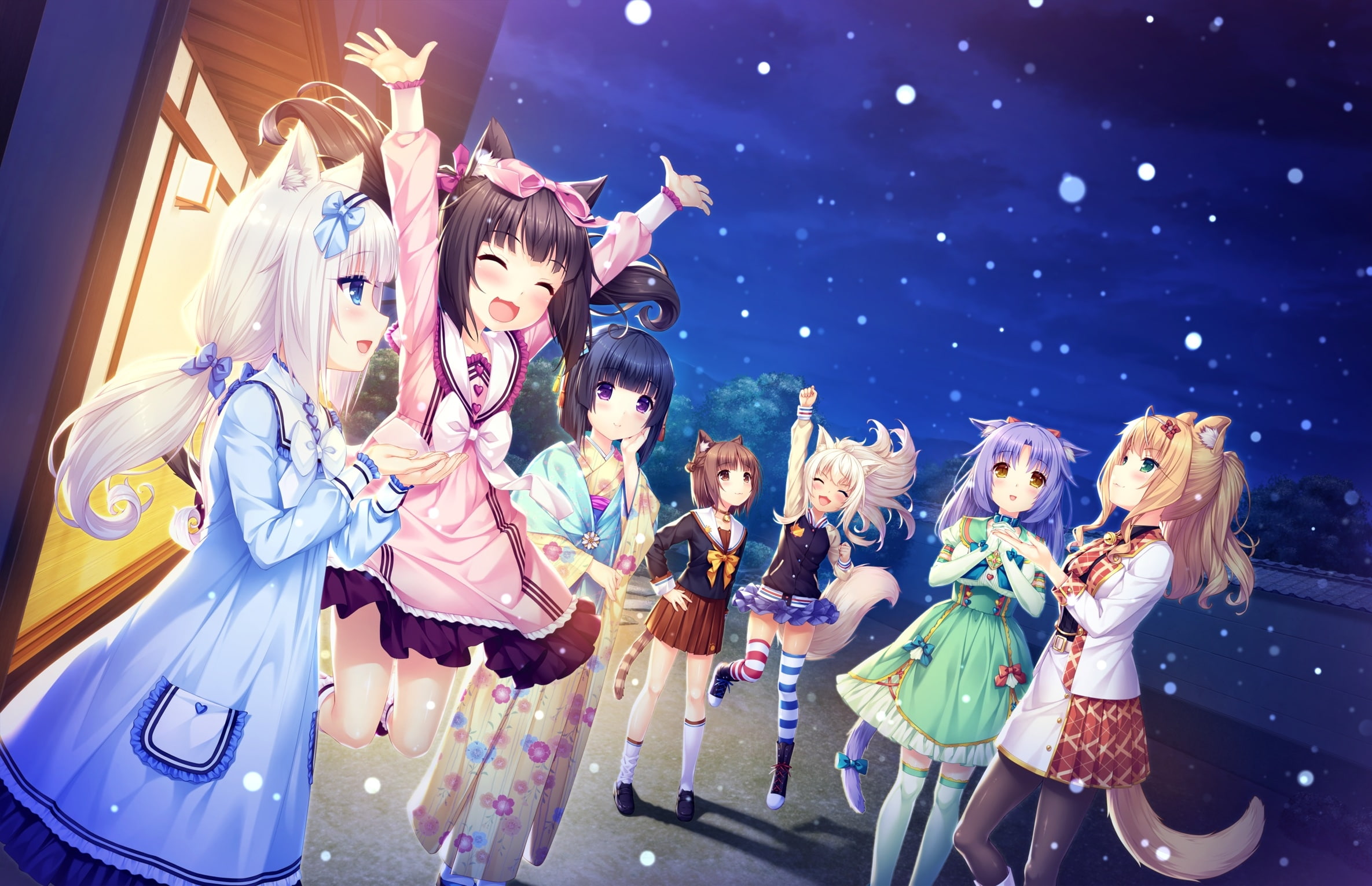 celebration, childhood, men, event, tail, leisure activity, snow, togetherness, fun, girls, females, child, enjoyment, group of people, Anime, nekopara, HD Wallpaper