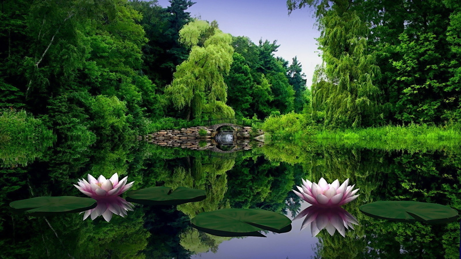 720P, bridge, nature, trees, reflection, garden, water lilies, lake, HD Wallpaper