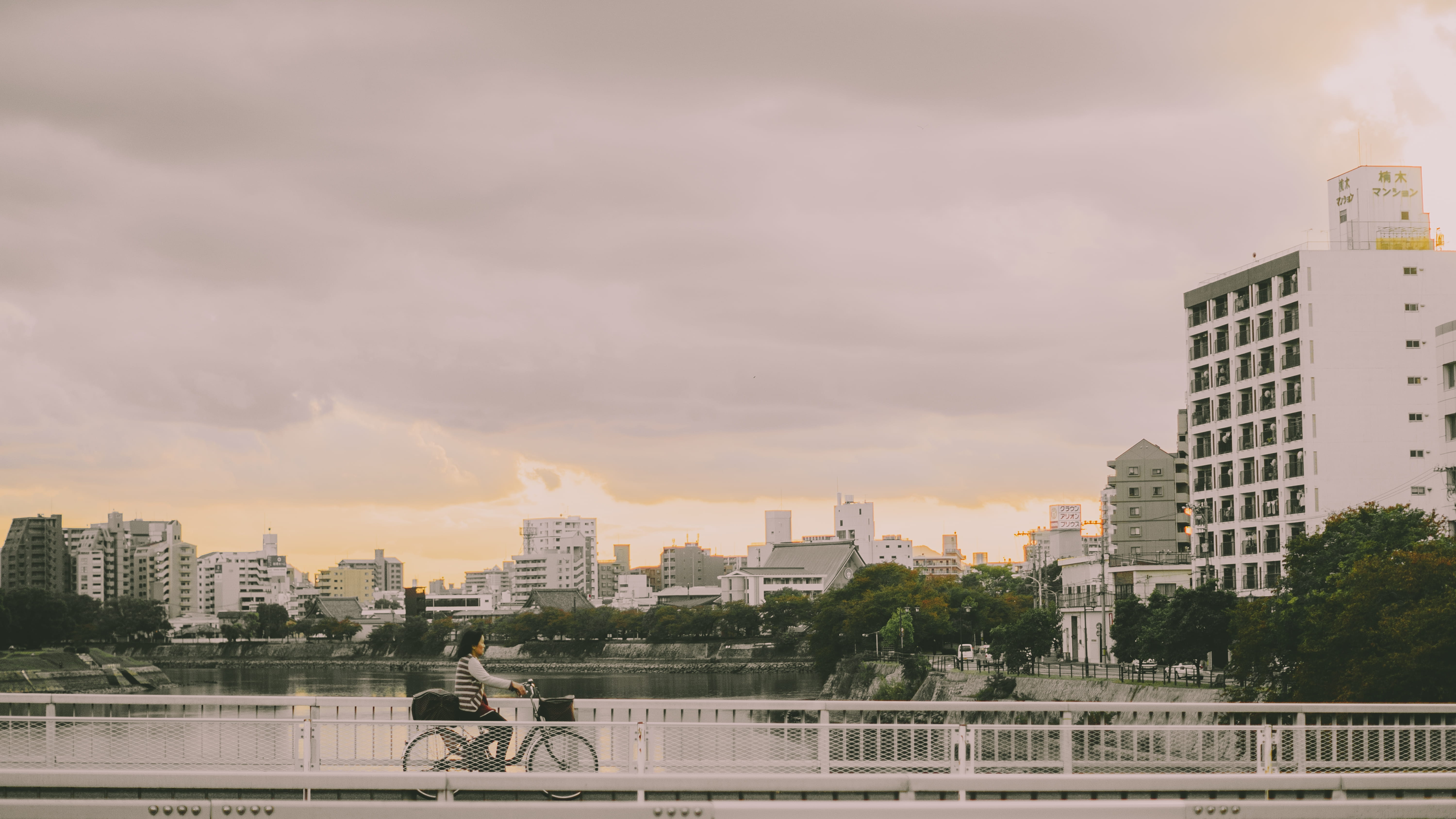 financial district, cycling, architecture, tall - high, tree, built Structure, building, transportation, building Exterior, urban Skyline, cityscape, gray, HD Wallpaper