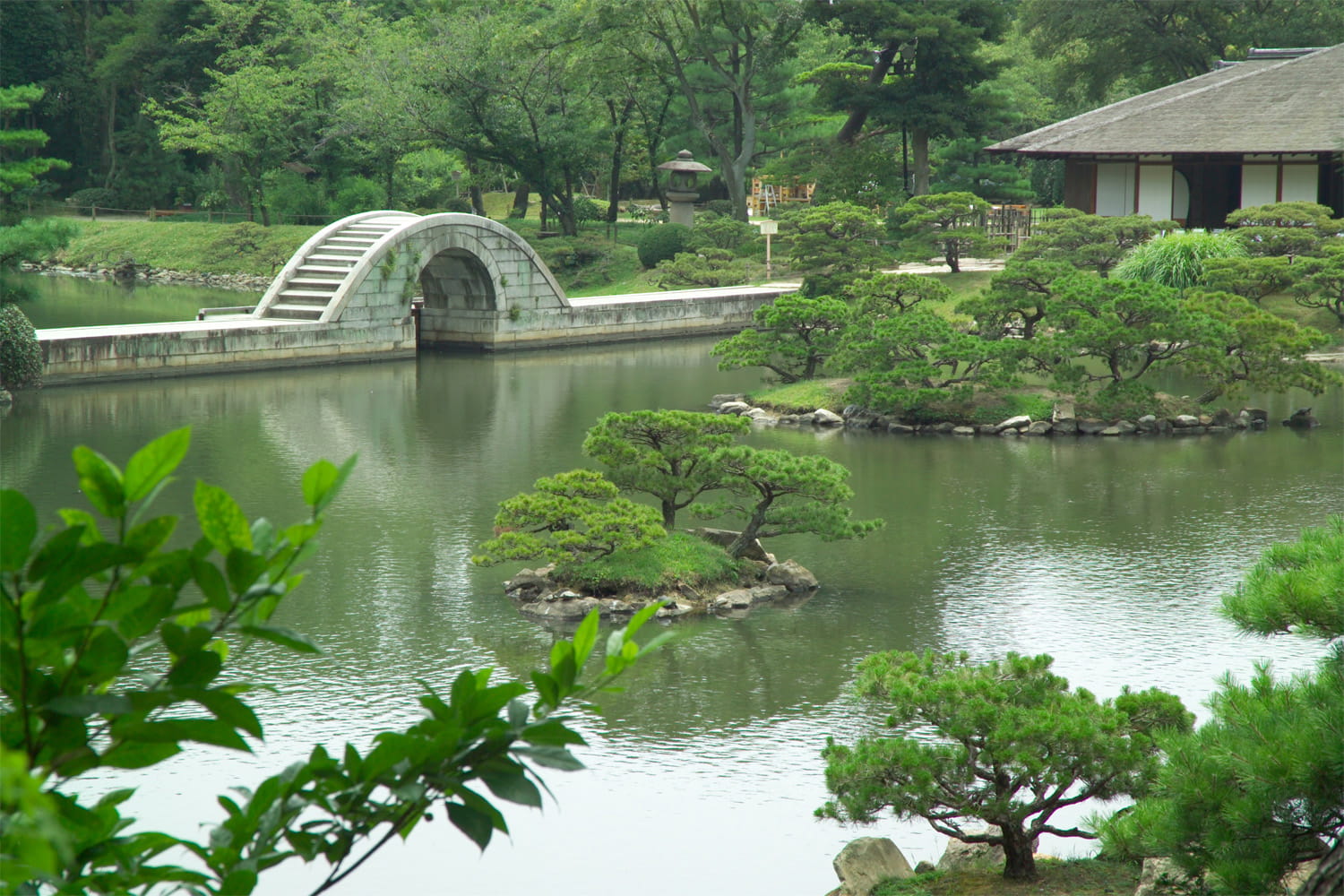 tree, connection, nature, architecture, green Color, water, bridge, shukkei, photos, growth, outdoors, footbridge, Shukkei-en, river, en, landscape, built structure, HD Wallpaper
