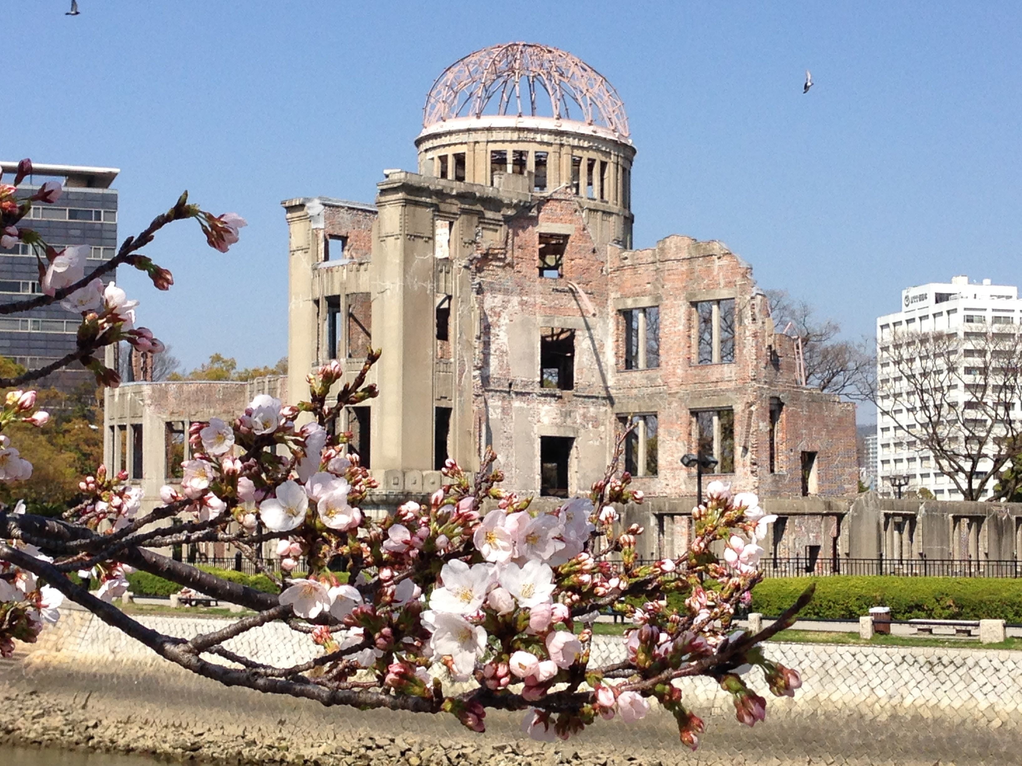 day, no people, japan, flowering plant, tree, outdoors, cherry blossoms, building, belief, built structure, sky, dome, a-bomb dome, springtime, travel destinations, HD Wallpaper