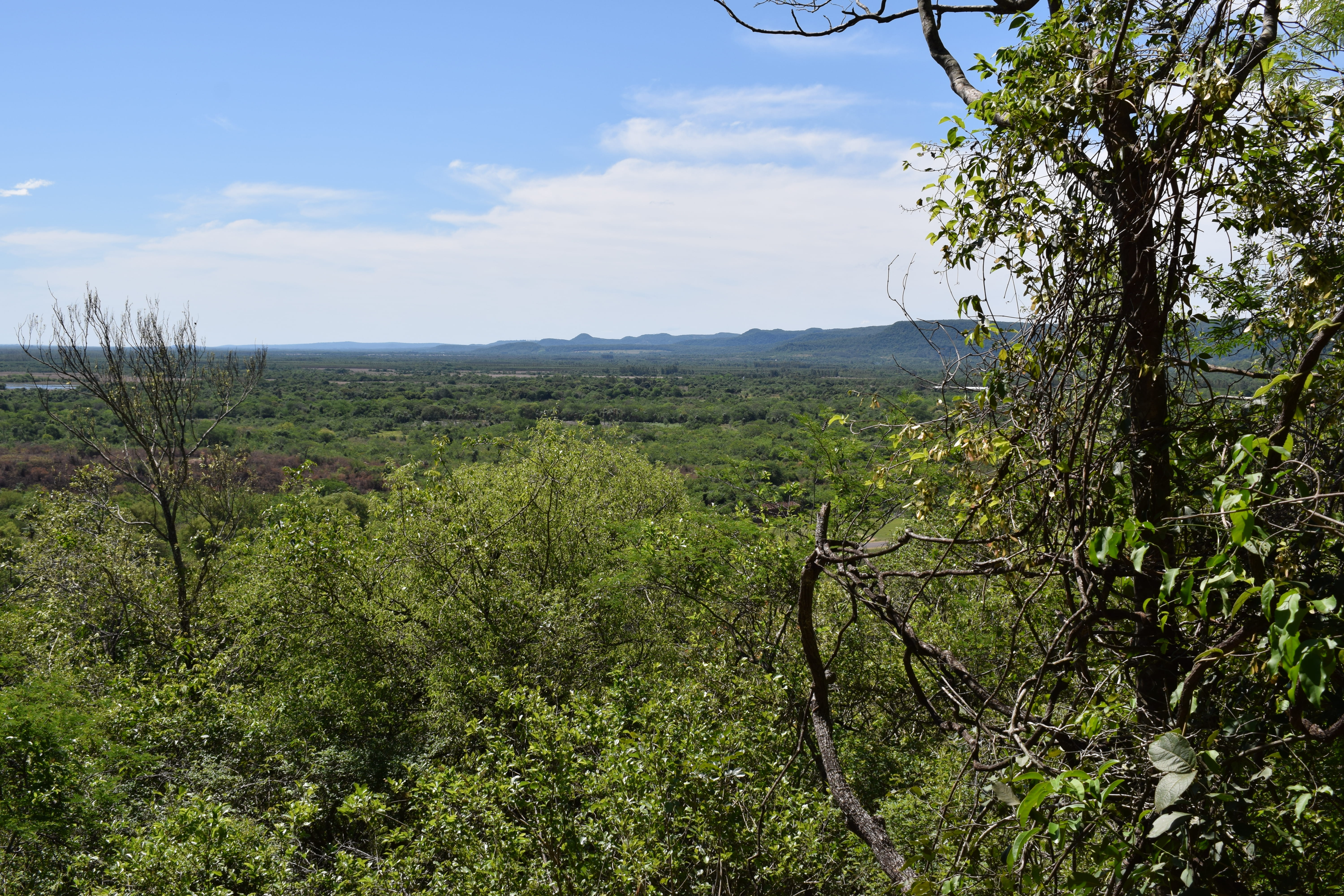 mountain, green color, outdoors, growth, paraguay, cerro hü, travels, scenics - nature, beauty in nature, non-urban scene, field, nature, environment, cerro hû, HD Wallpaper