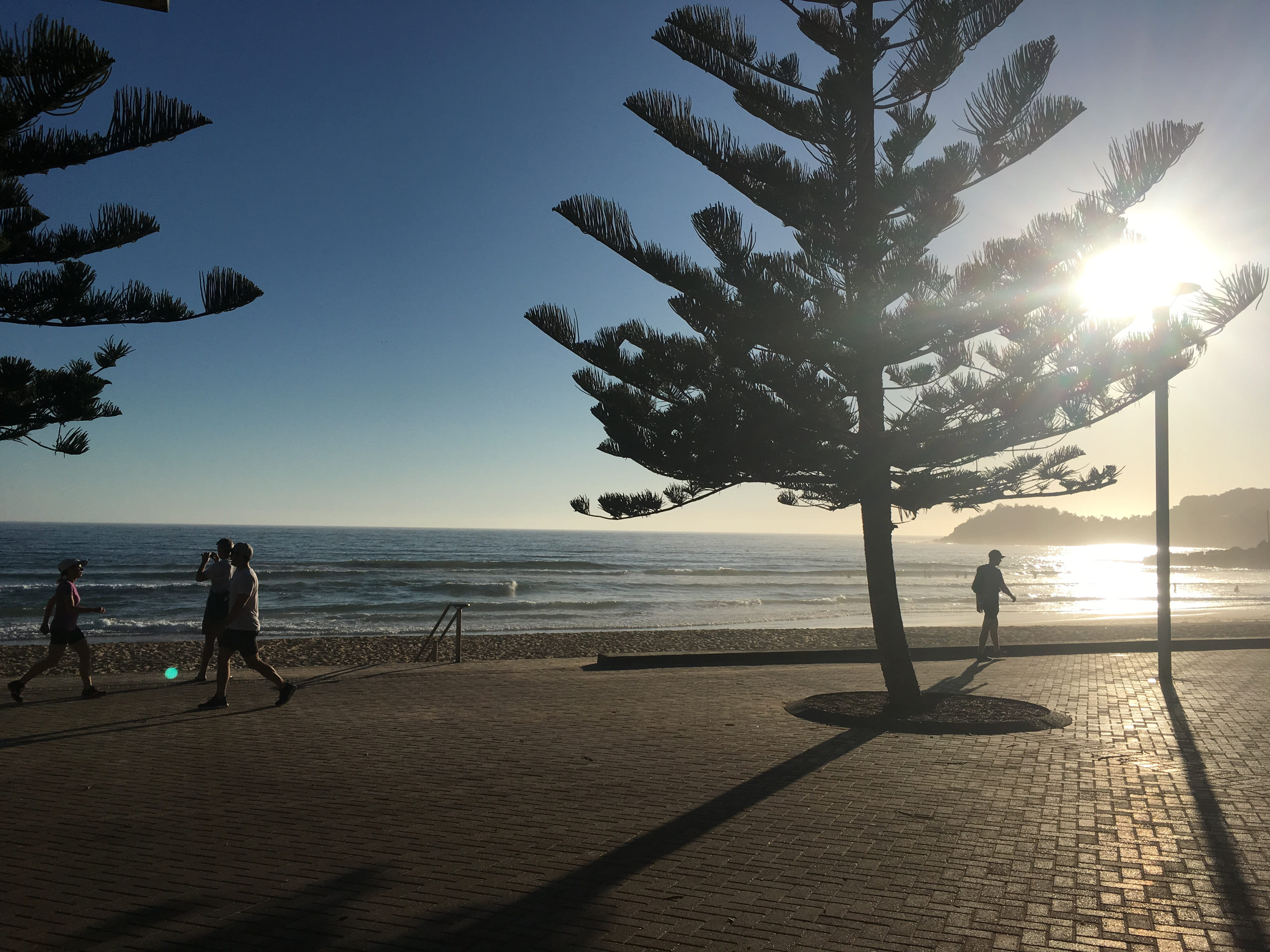 manly, 4K, women, beauty in nature, plant, australia, bold, sunrise, beach, scenics - nature, shadow, tree, sky, sea, morning, people, nature, men, lifestyles, HD Wallpaper