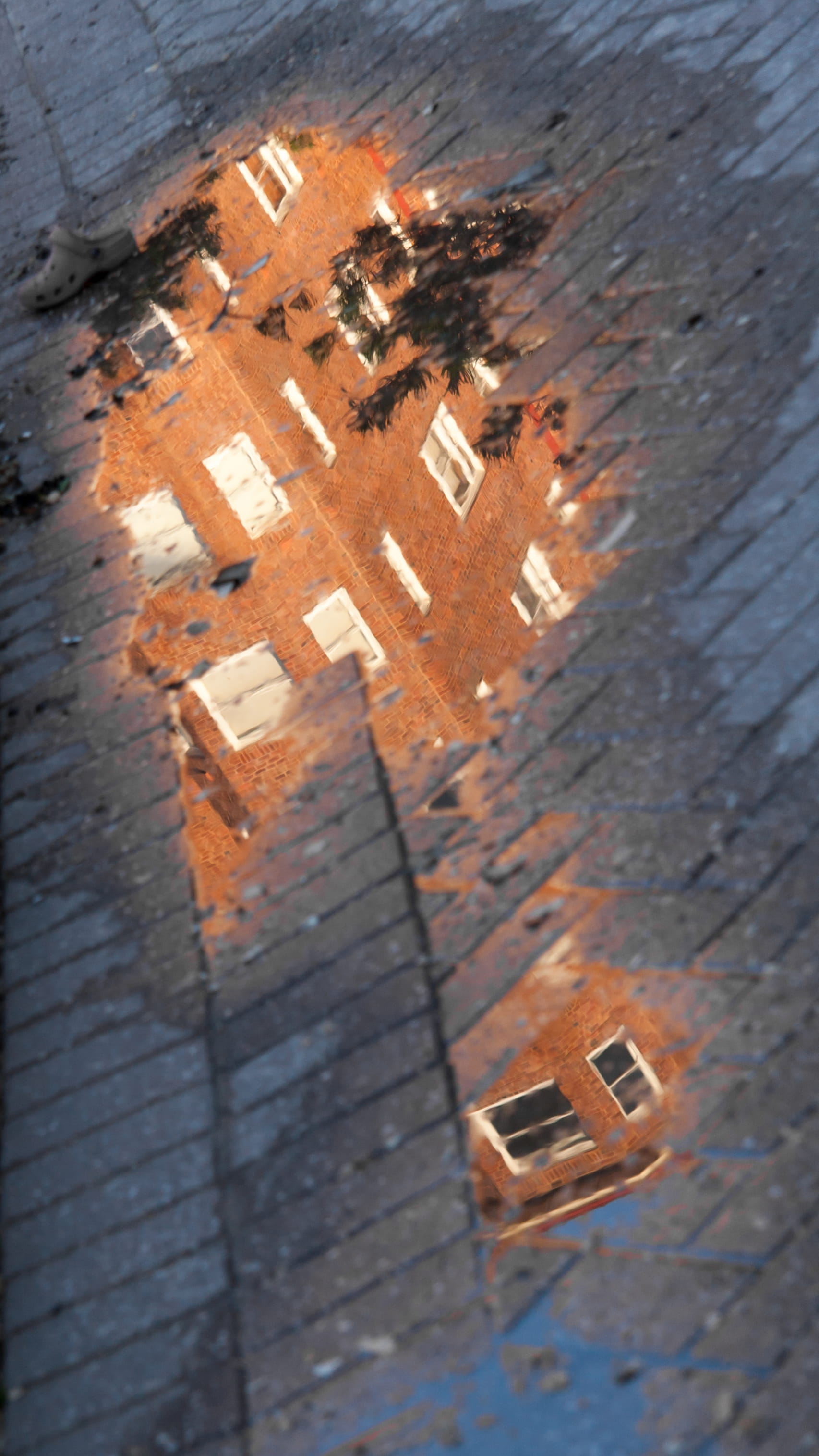 2K, residential district, travel, wet, building exterior, day, city, reflections, street, reflection, outdoors, high angle view, brick, nature, manly, Phone HD Wallpaper
