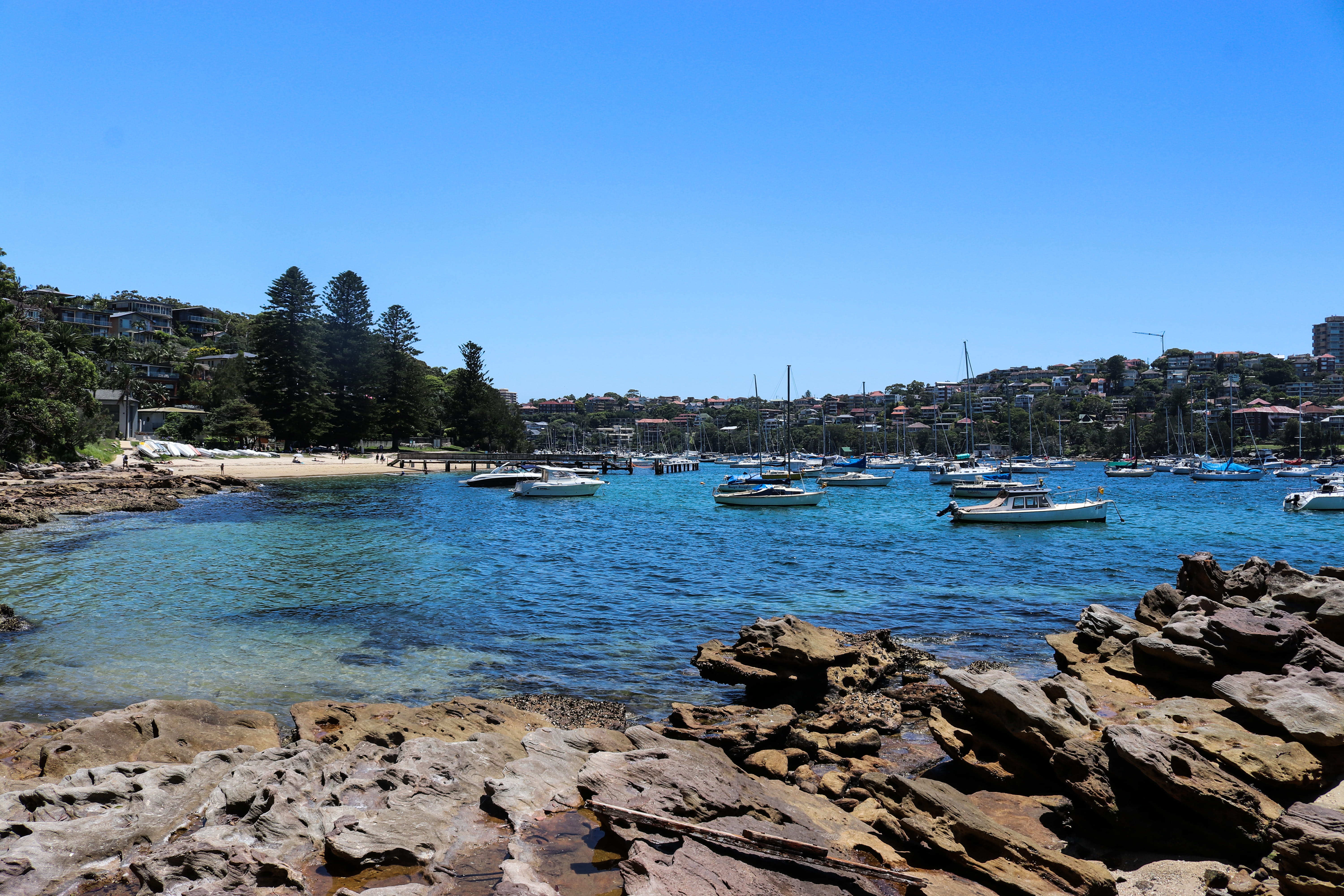 nature, sydney, beauty in nature, no people, copy space, plant, nautical vessel, yacht, transportation, moored, landscape, clear sky, the spit to manly walk, HD Wallpaper